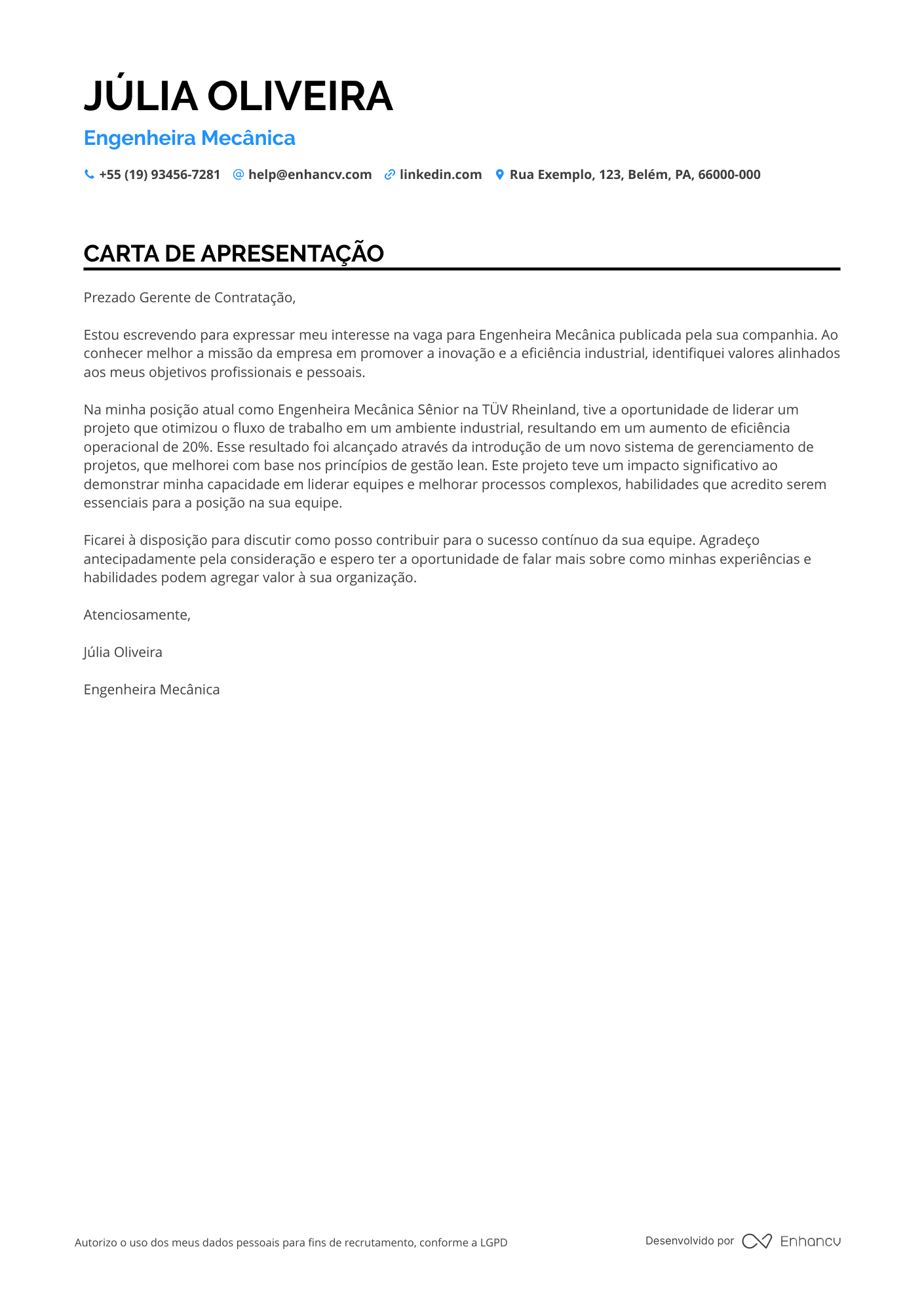 Engenheiro Mecânico de Segurança