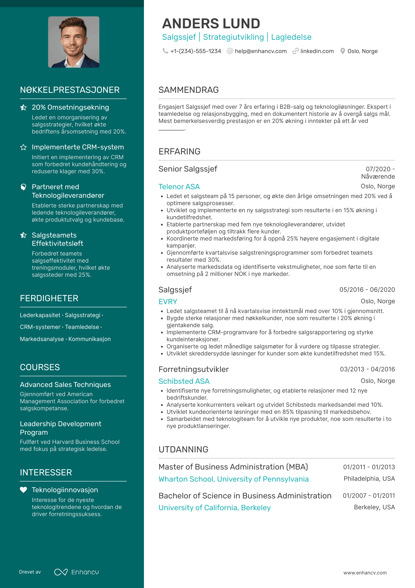 CV for Salgssjef B2B