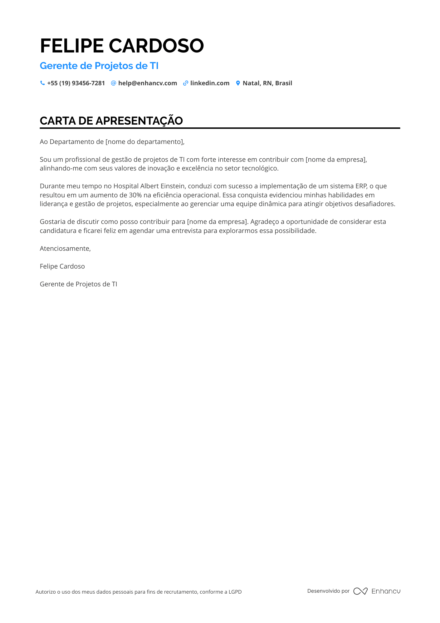 Gerente de Projetos de TI