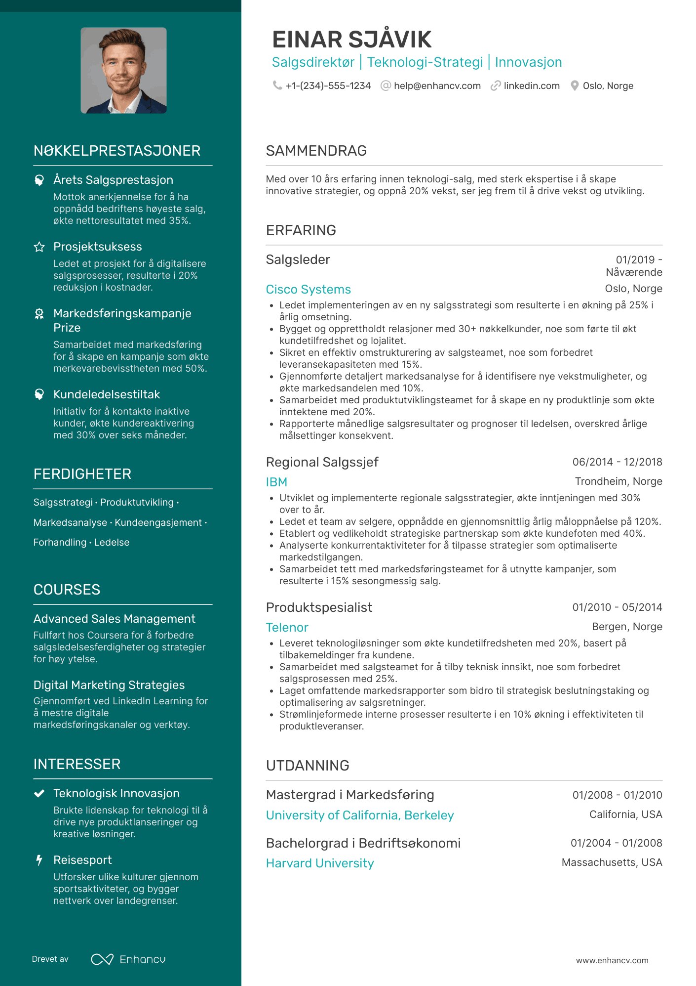 CV for Salgsdirektør