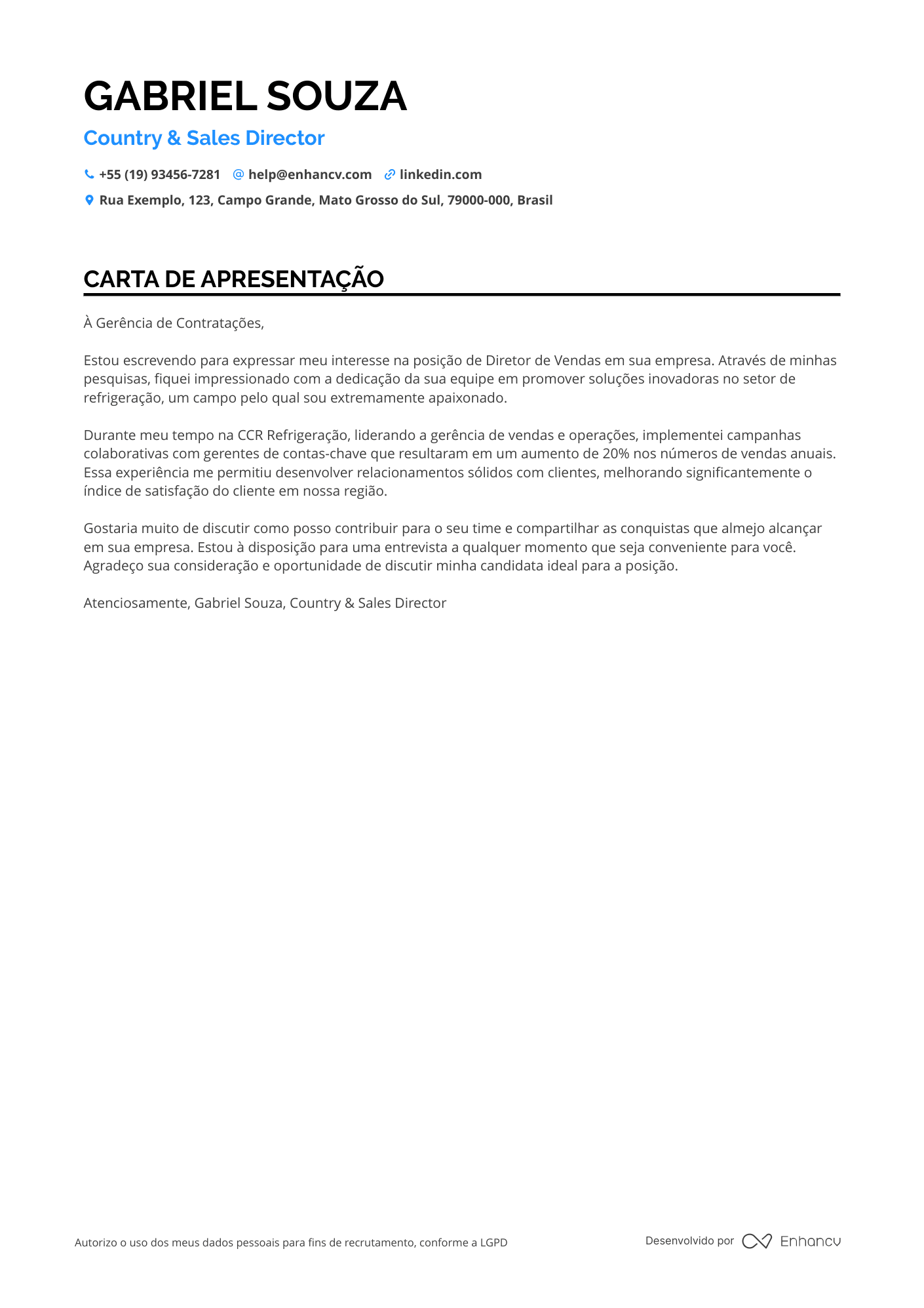 Diretor Comercial de Vendas