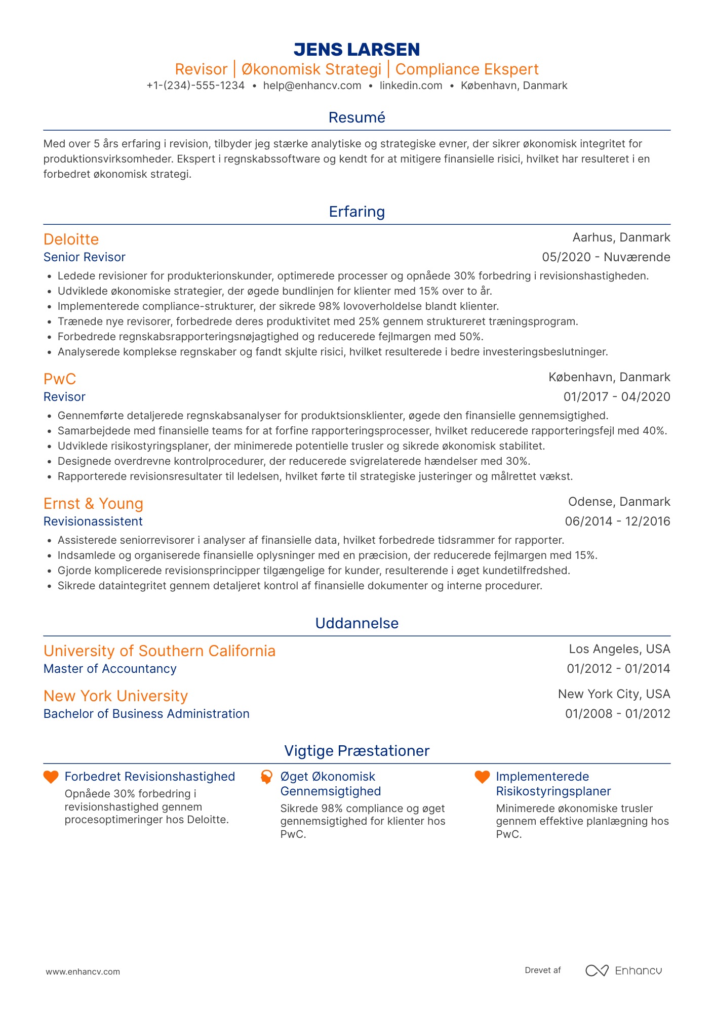 CV til Revisor i produktionsindustrien
