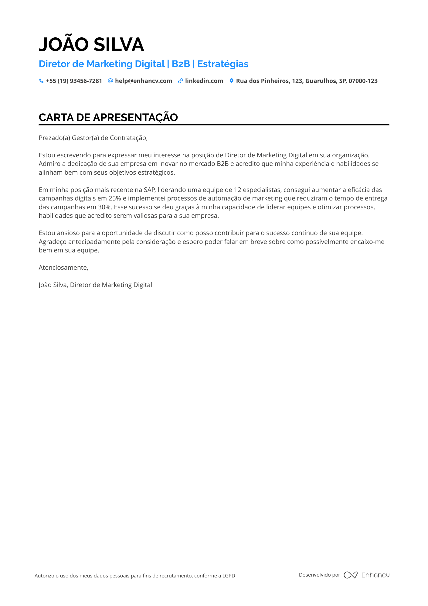 Diretor de Marketing Digital