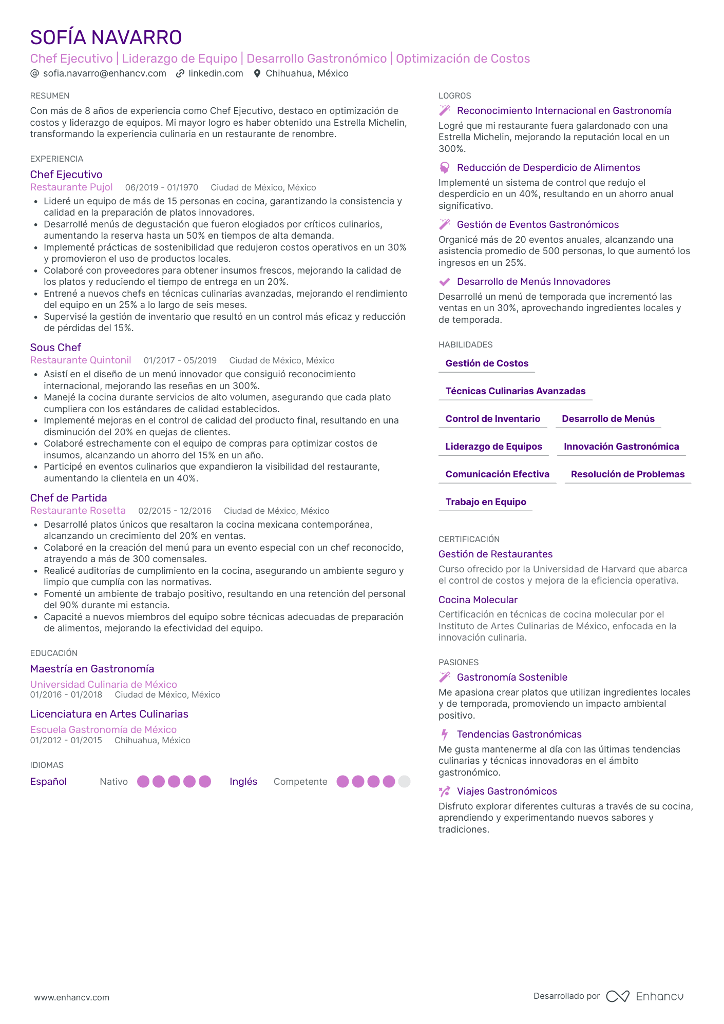 Chef Ejecutivo Ejemplos de CV