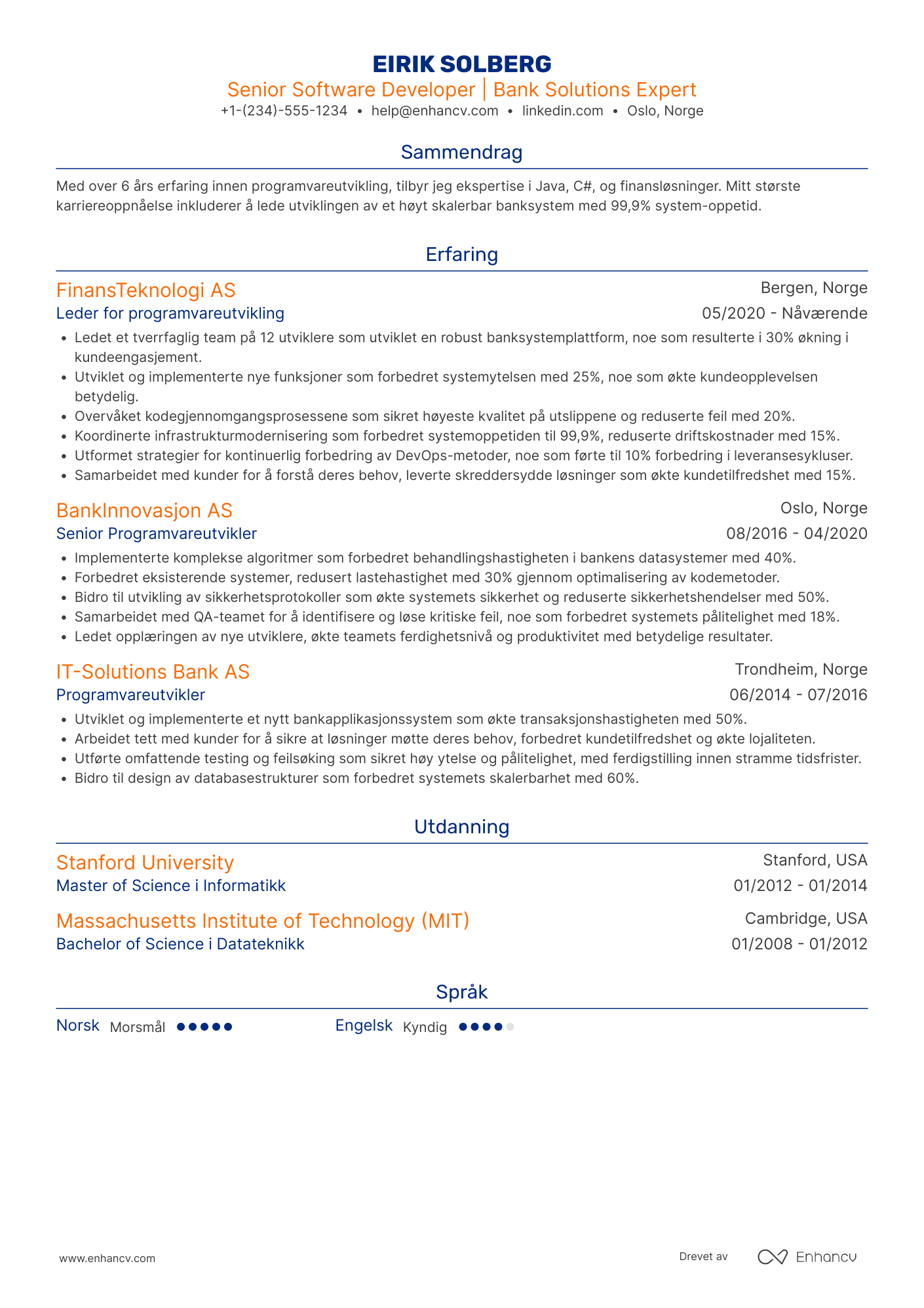 CV for Programvareutvikler for banksektoren