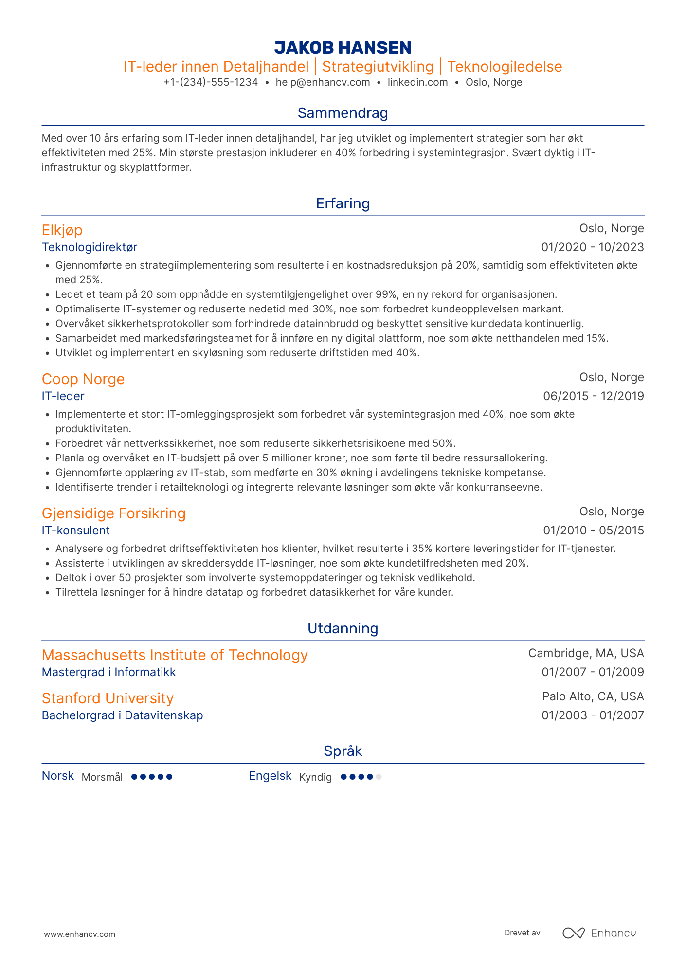 CV for IT leder innen detaljhandel