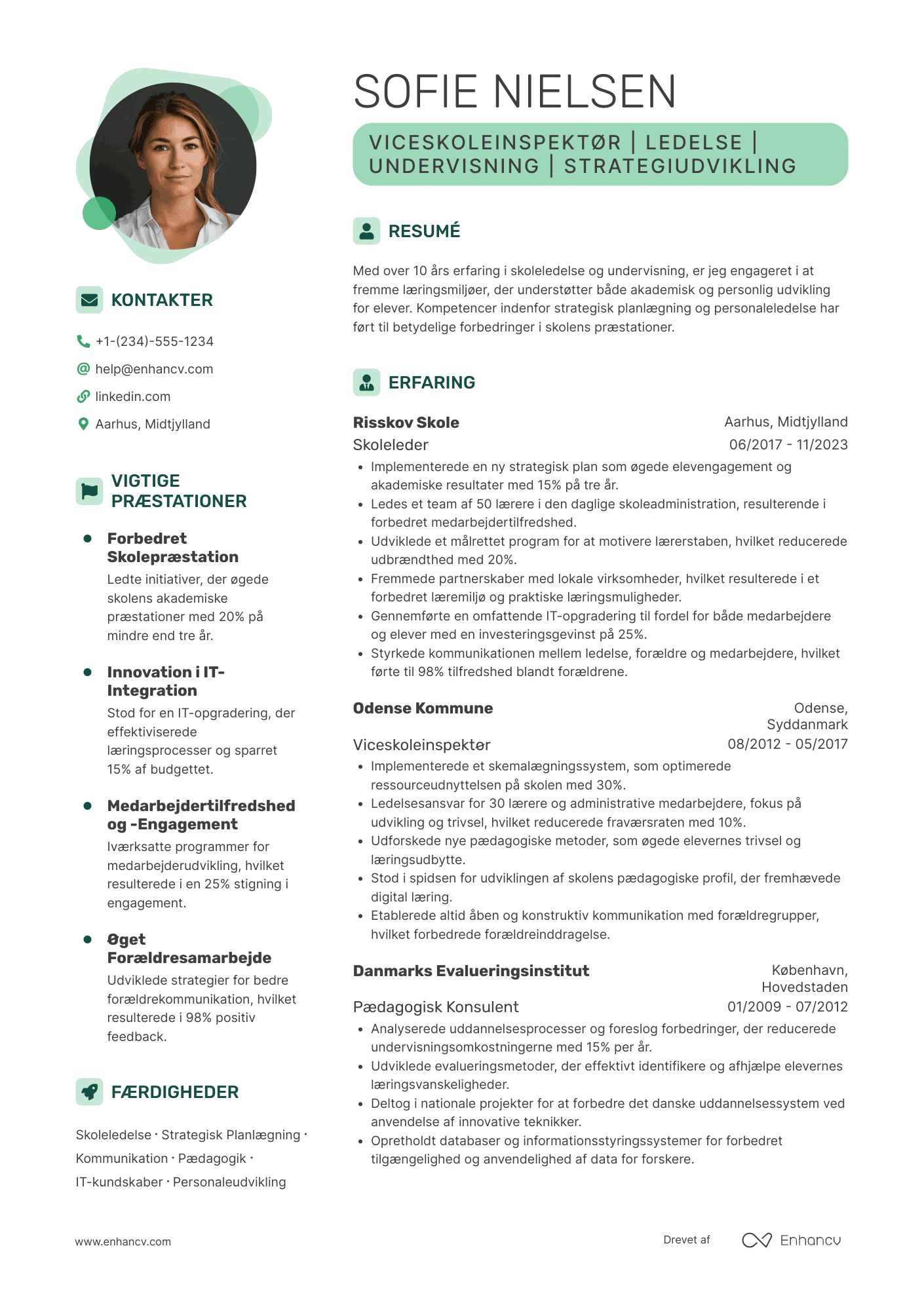 CV til Viceskoleinspektør