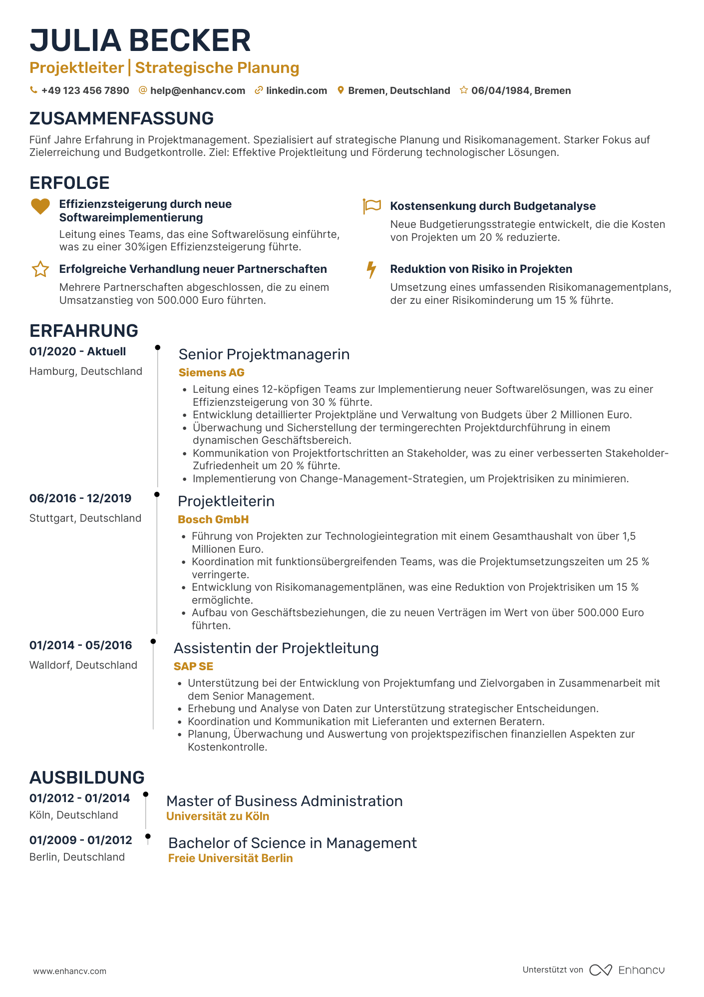 Lebenslauf als Strategischer Projektleiter