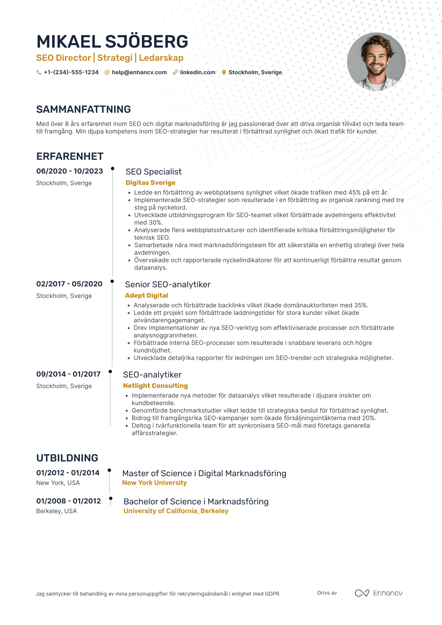 CV för SEO Director