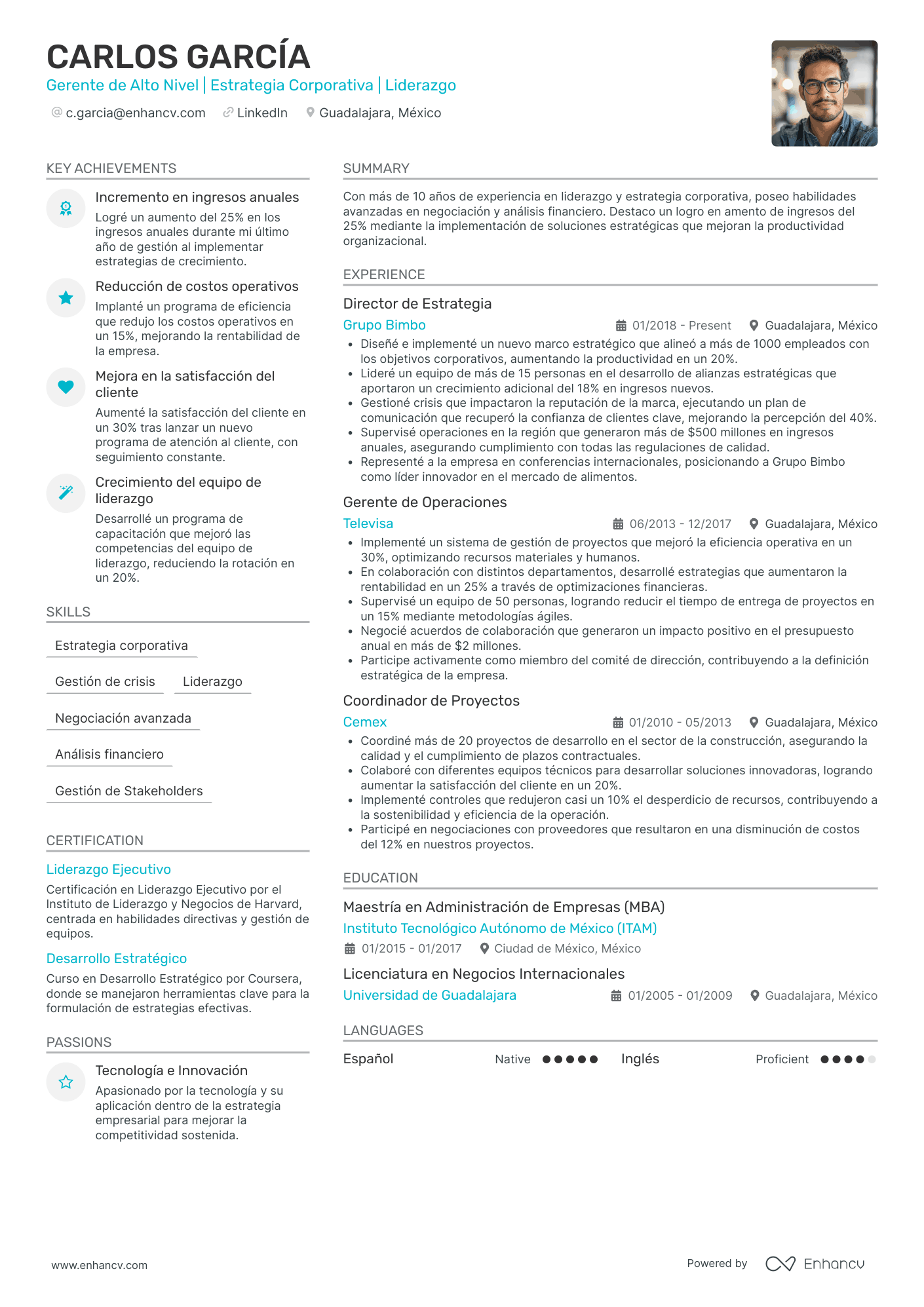 Gerente de Alto Nivel (C suite) Ejemplos de CV