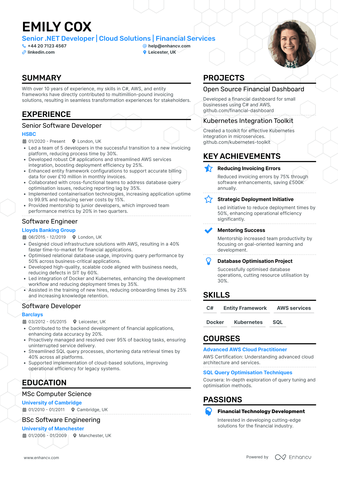 Senior .Net Developer CV Examples