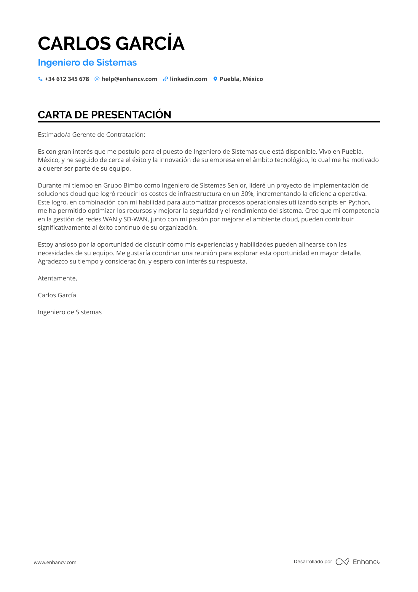 Programador de Sistemas