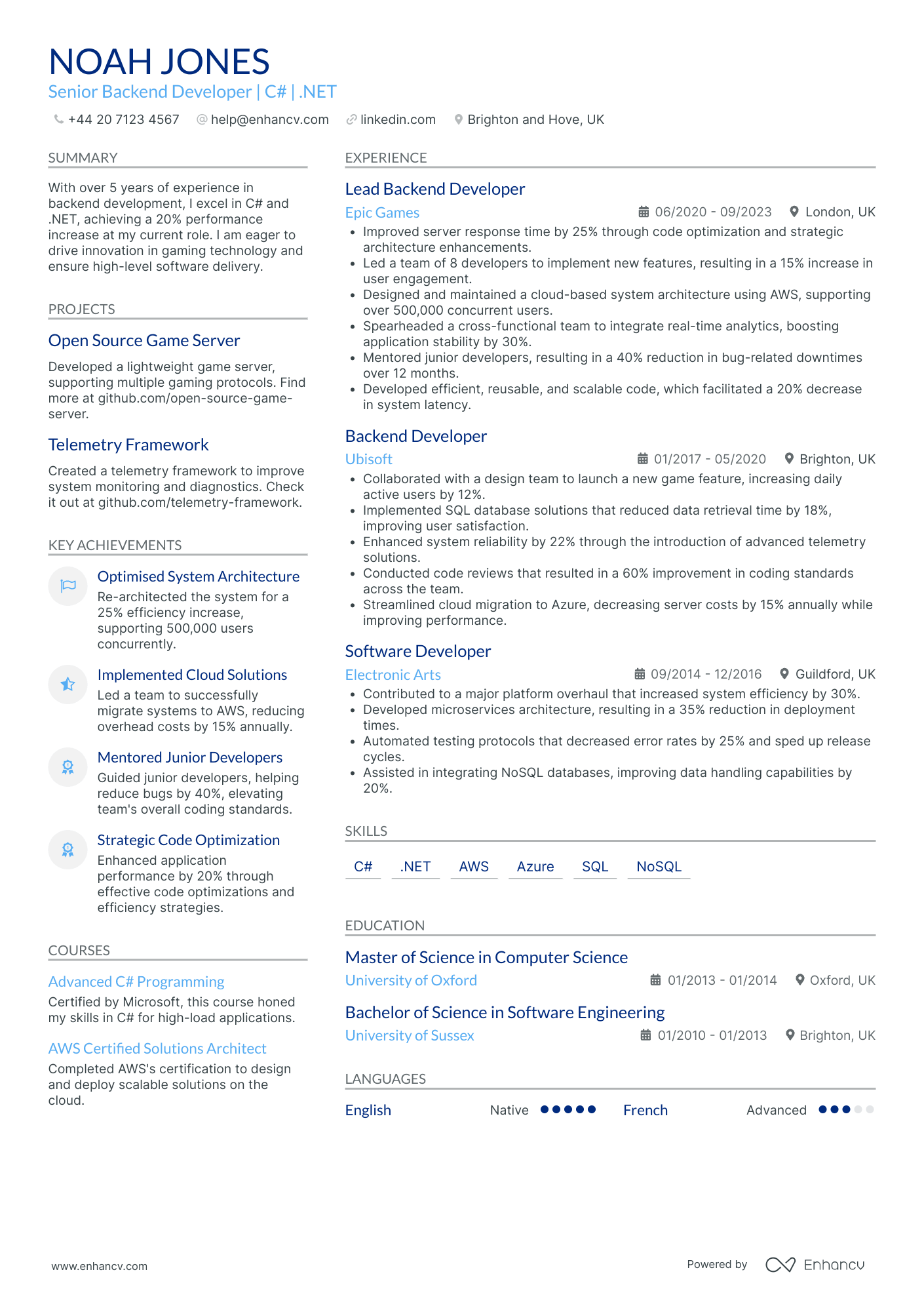 .Net Game Developer CV Examples