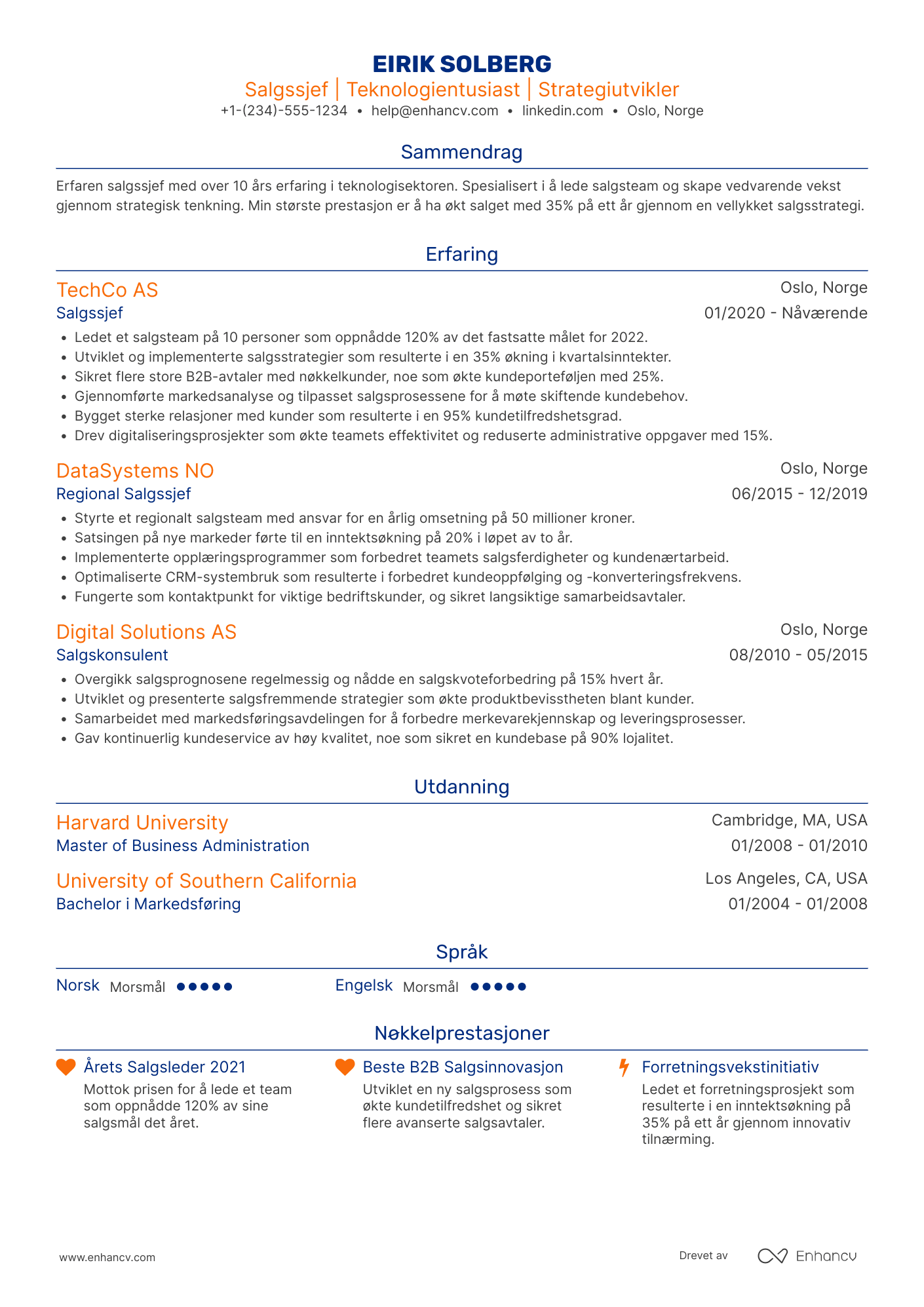 CV for Salgssjef Teknologi