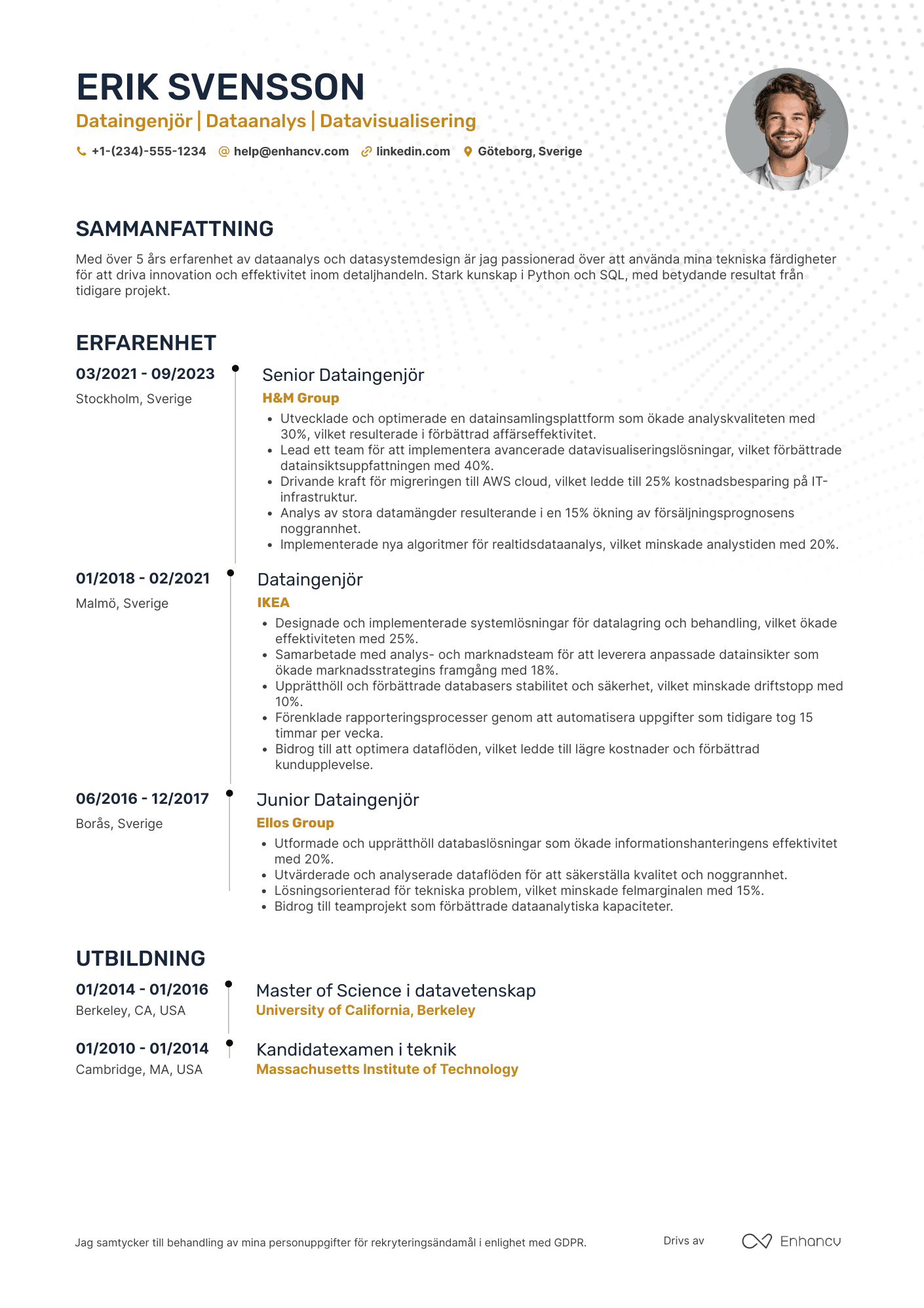 CV för Dataingenjör i detaljhandel