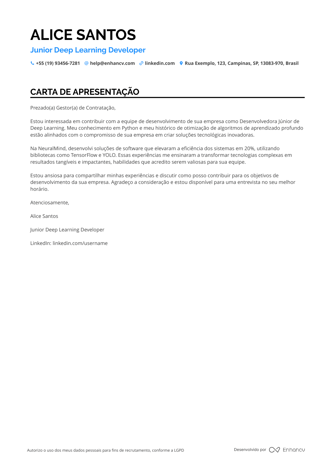Desenvolvedor de Software Júnior