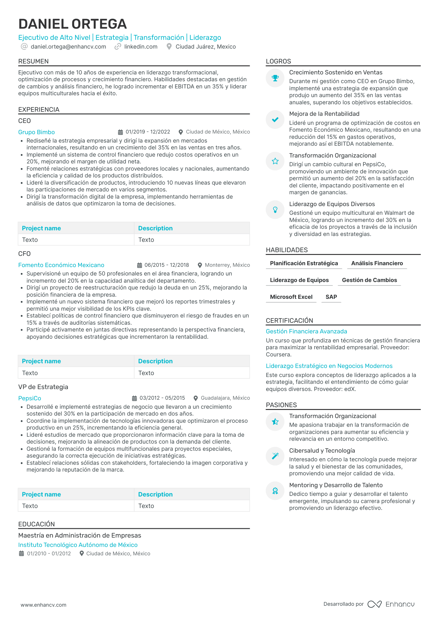 Ejecutivos de Alto Nivel (C suite) Ejemplos de CV