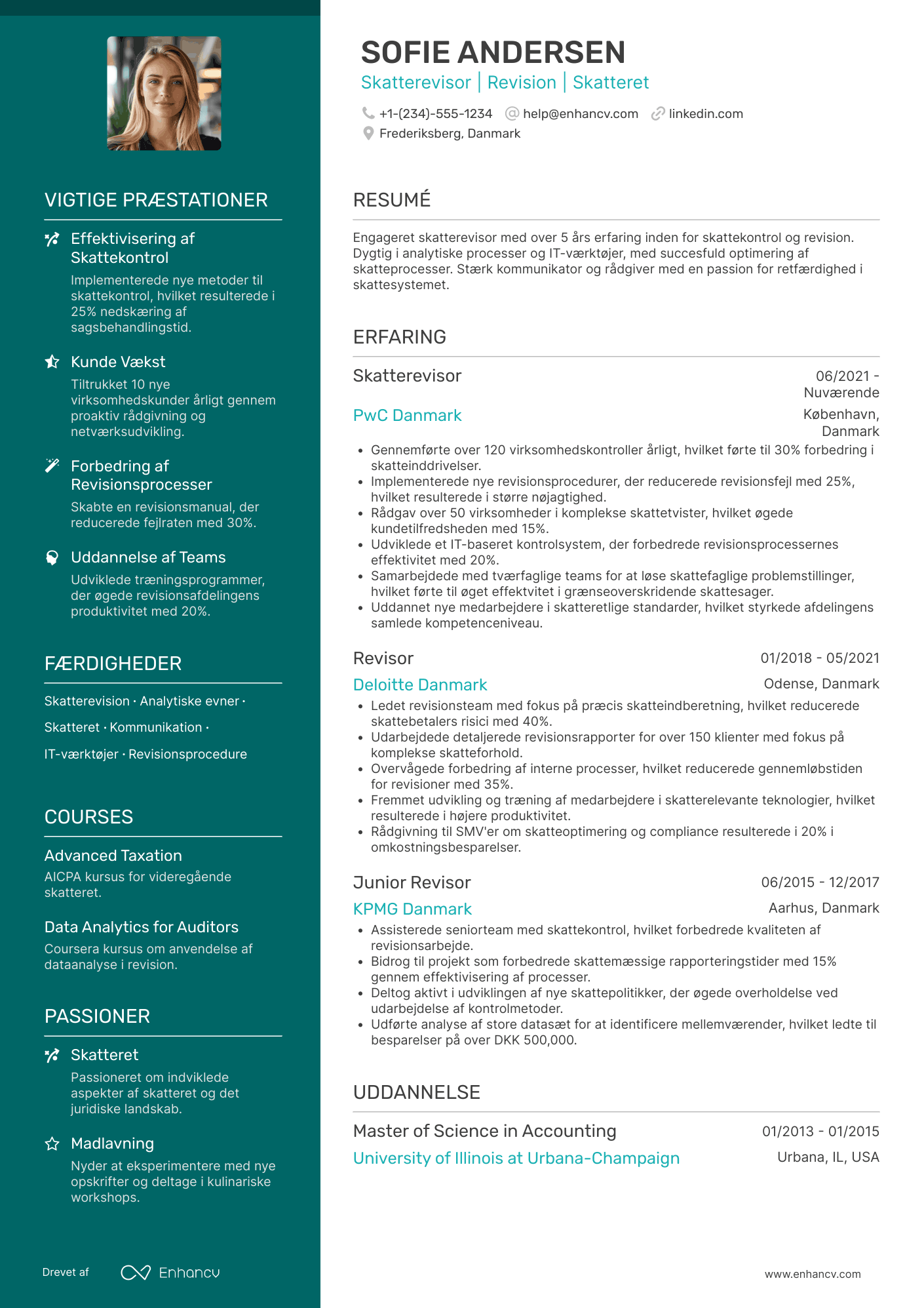 CV til Skatterevisor
