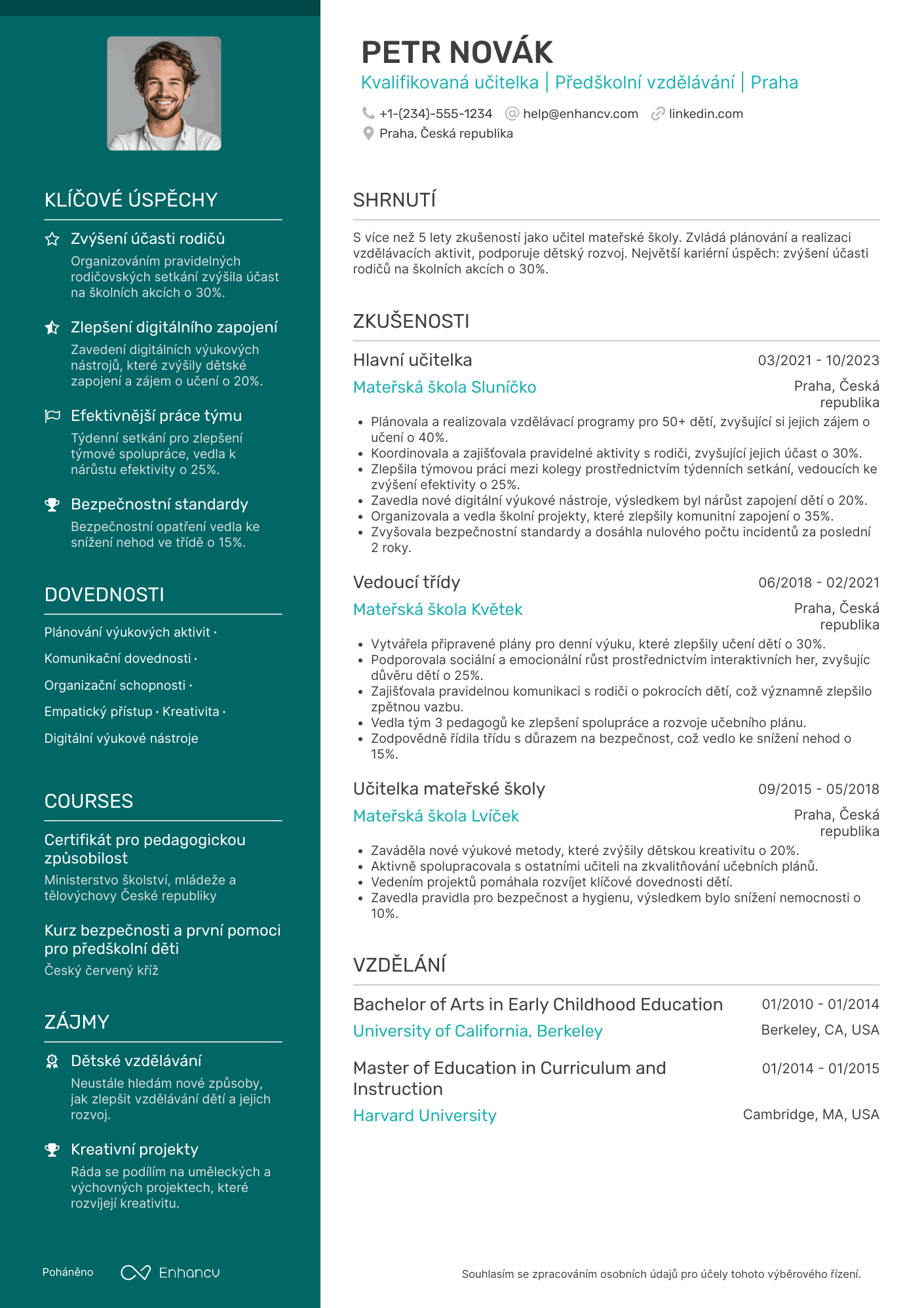Vyleštěný CV šablona