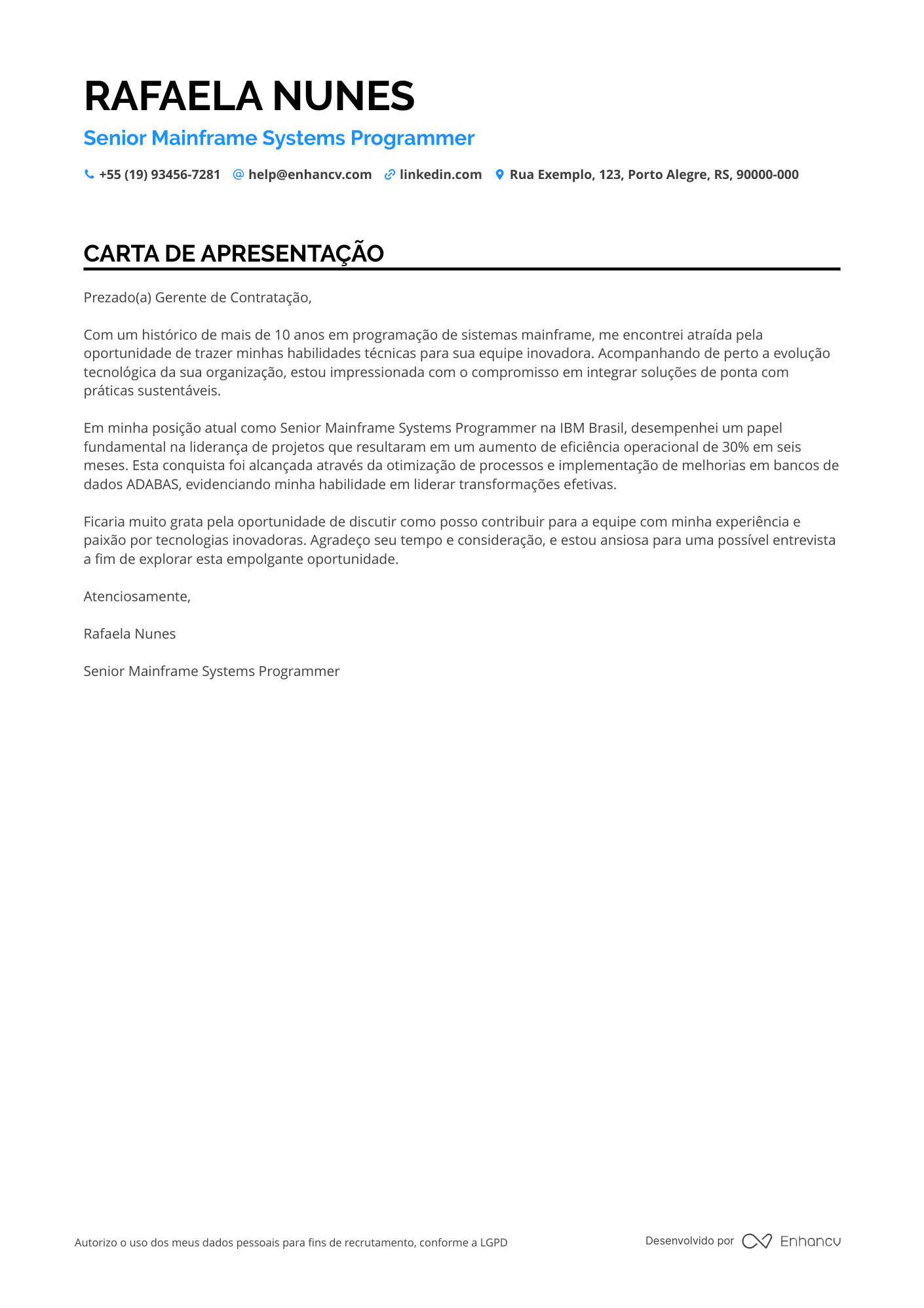 Programador de Sistemas Sênior