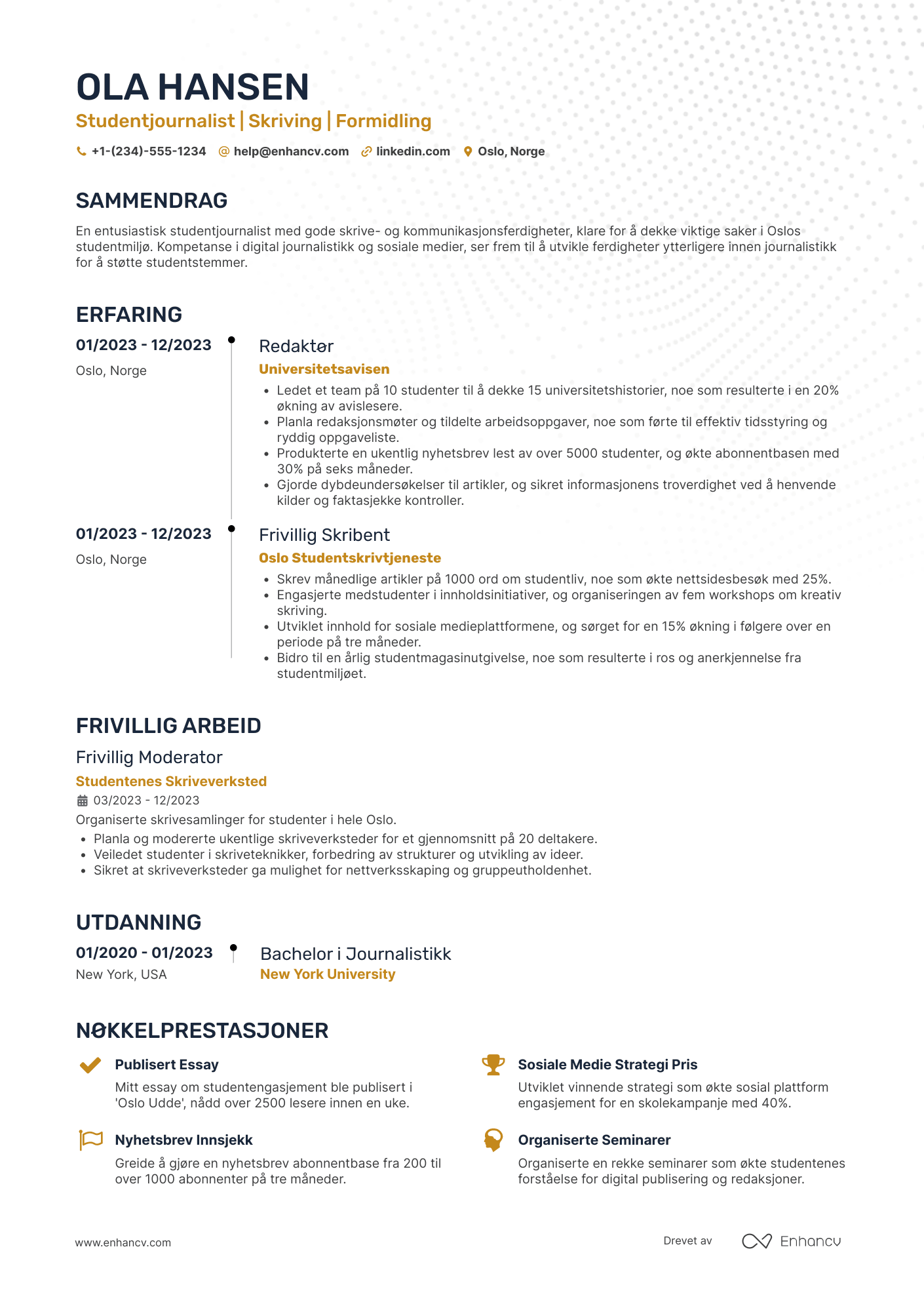 CV for Studentjournalist