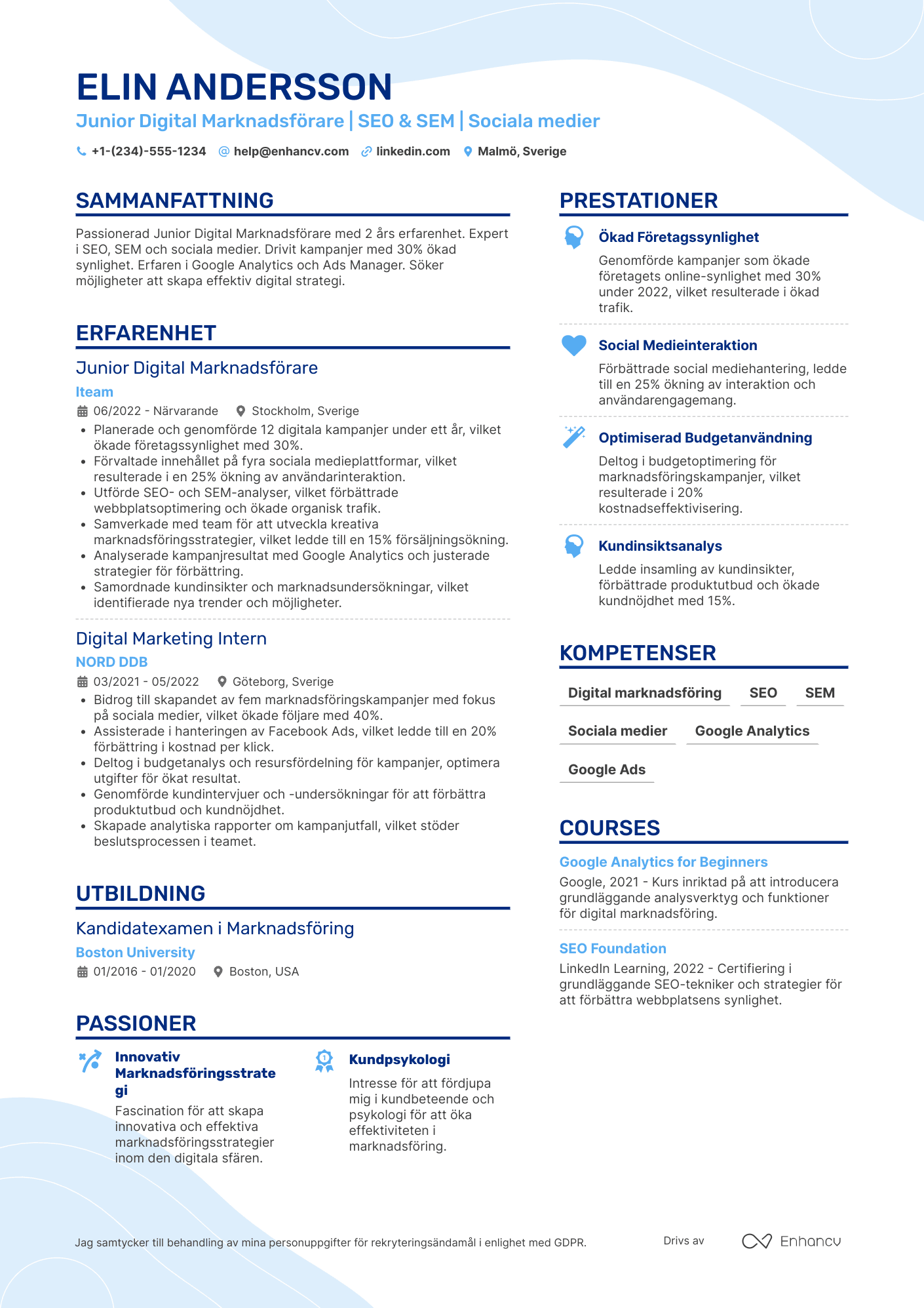 CV för Junior Digital Marknadsförare