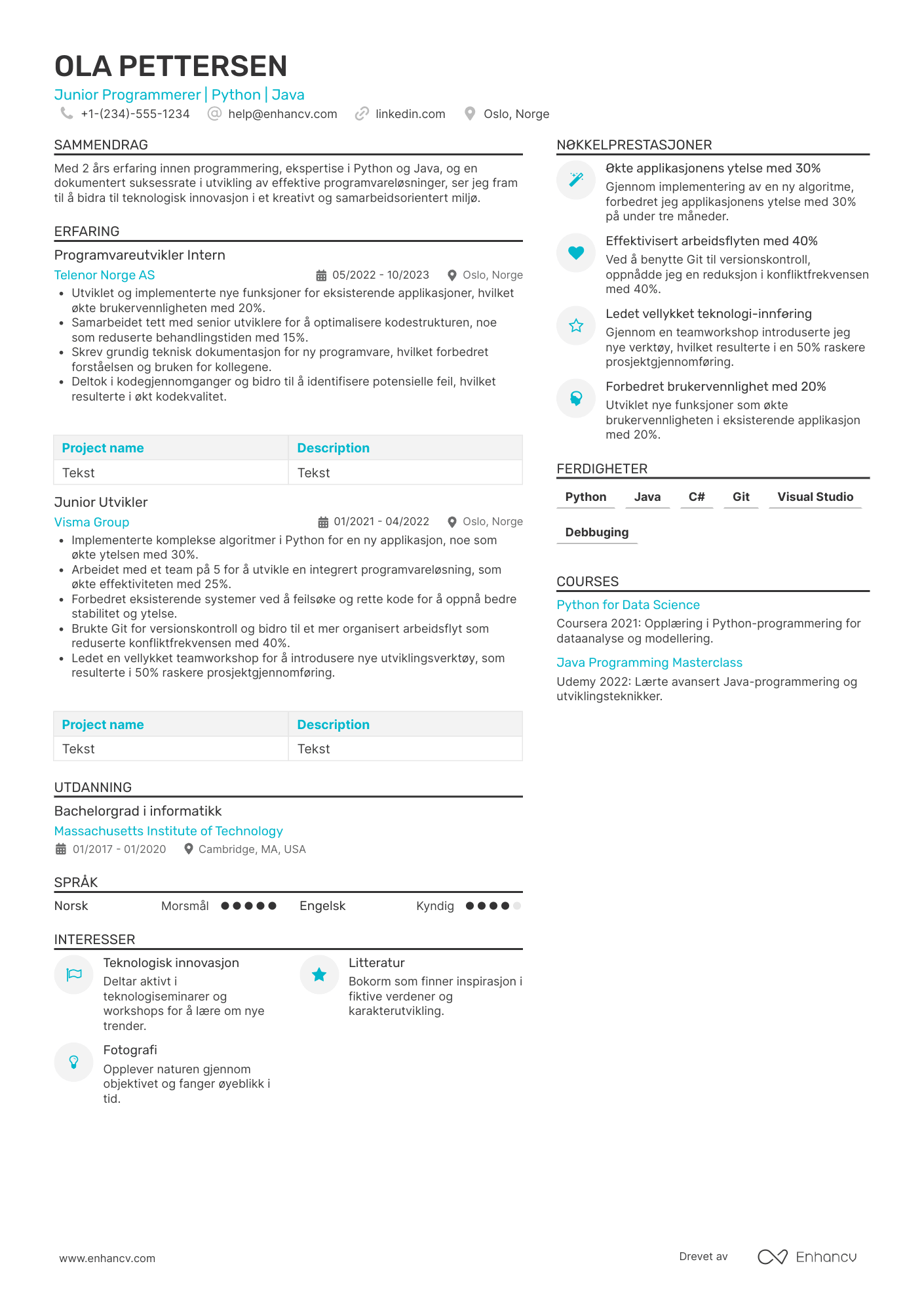 CV for Junior Programmerer