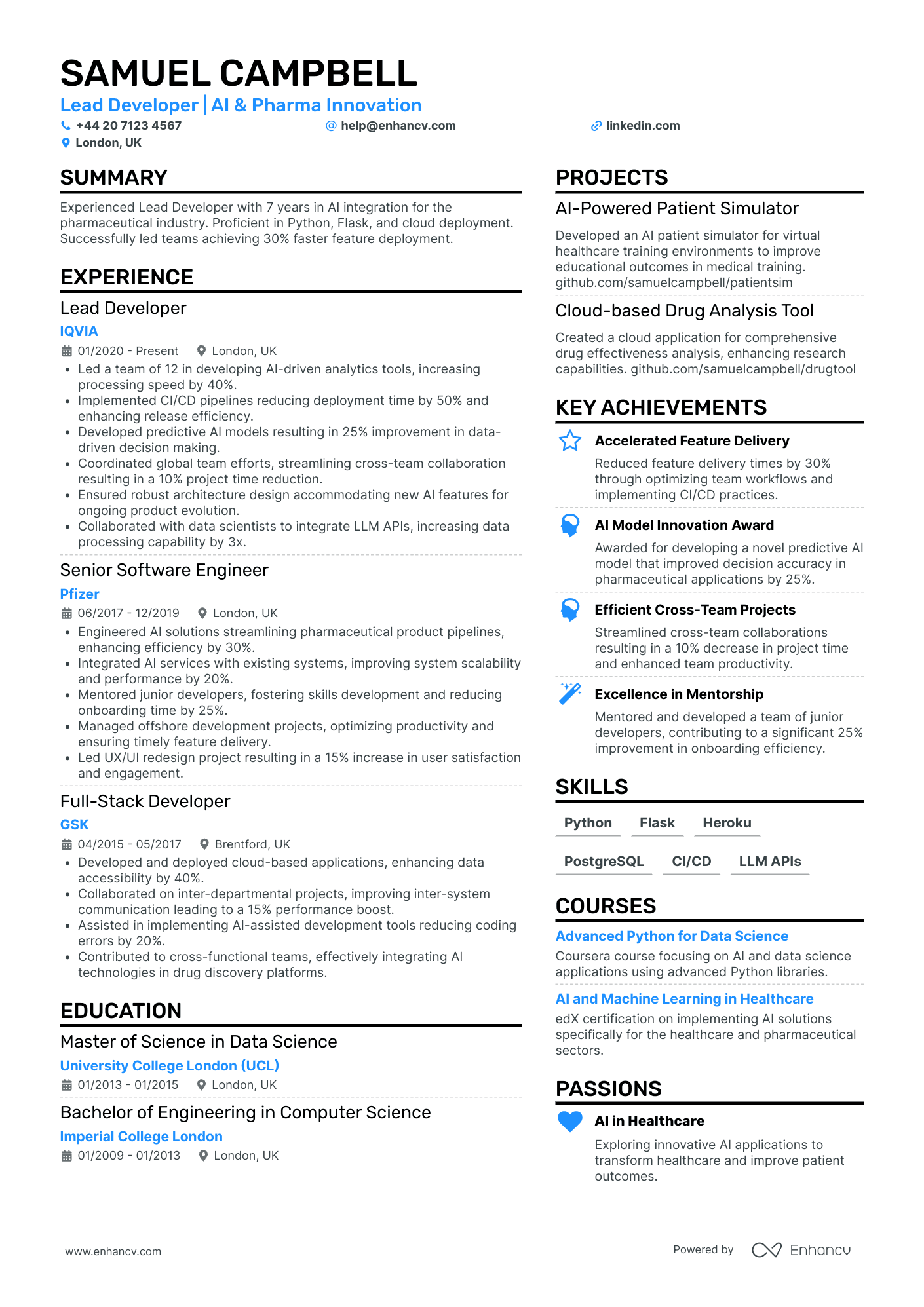 Lead Developer CV Examples