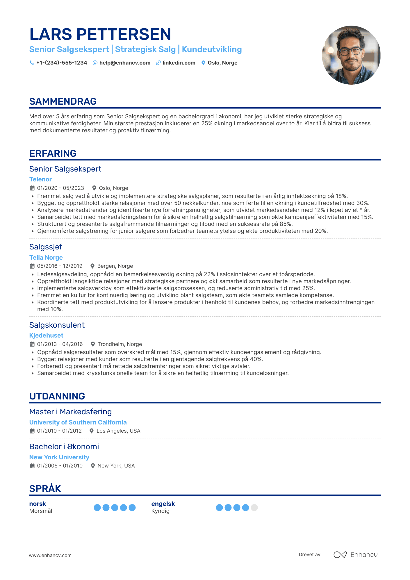 CV for Senior Salgsekspert