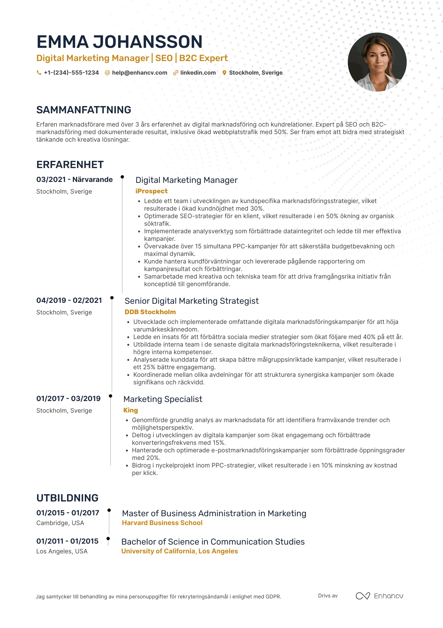 CV för Digital Marketing Account Manager