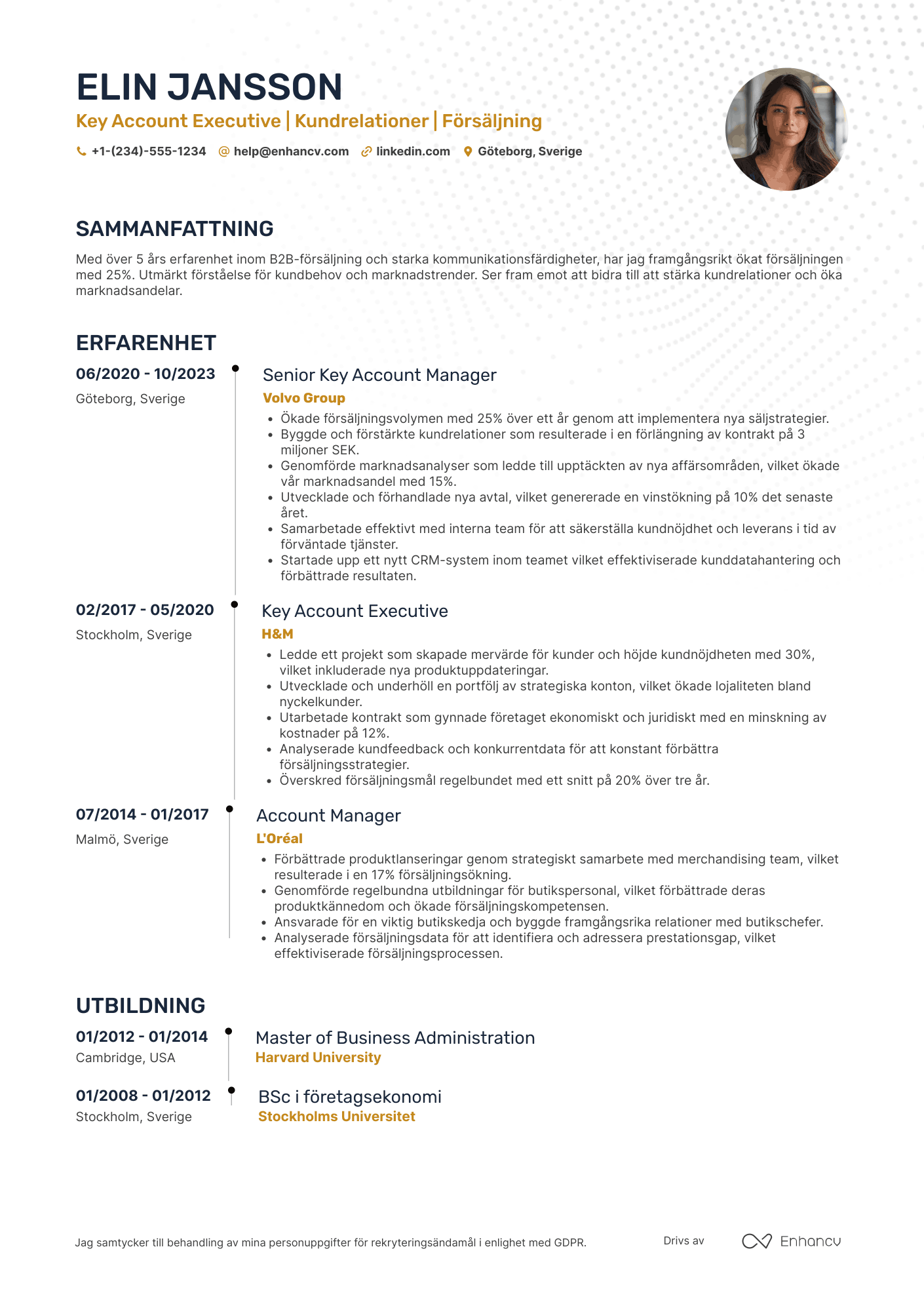 CV för Key Account Executive