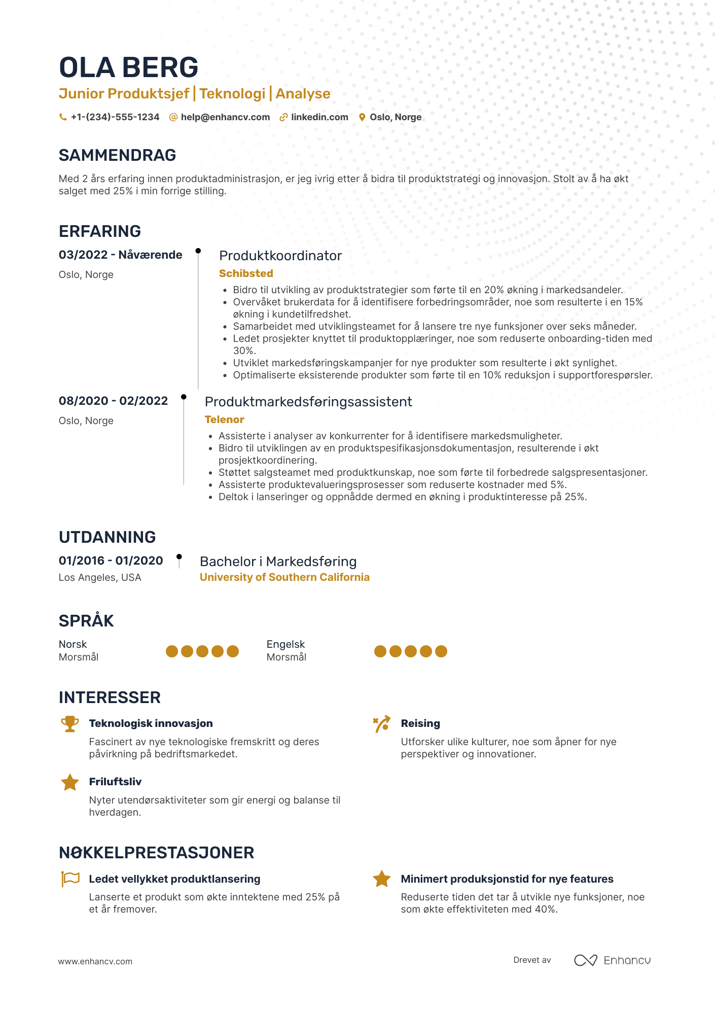 CV for Junior Produktsjef