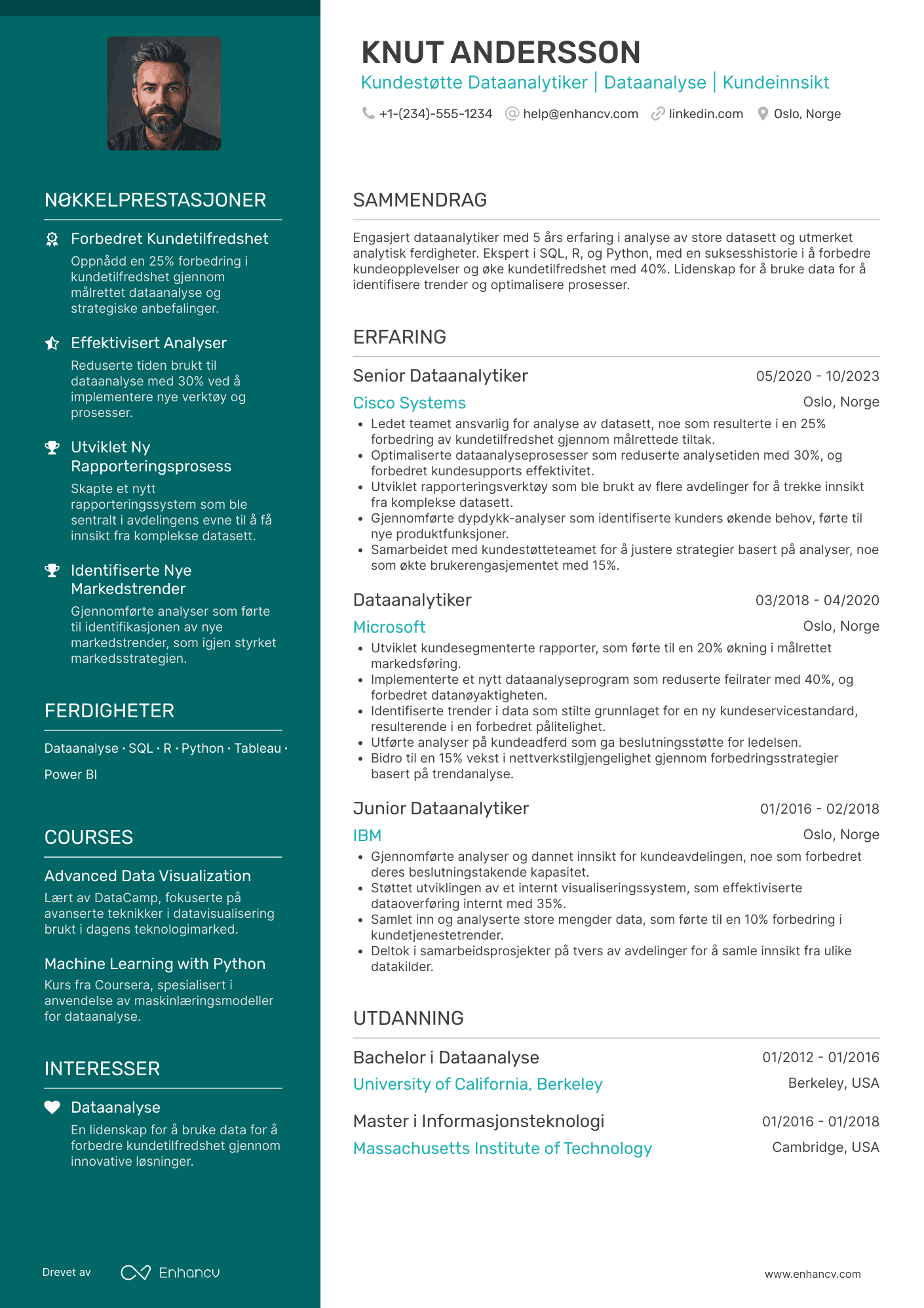 CV for Kundestøtte Dataanalytiker