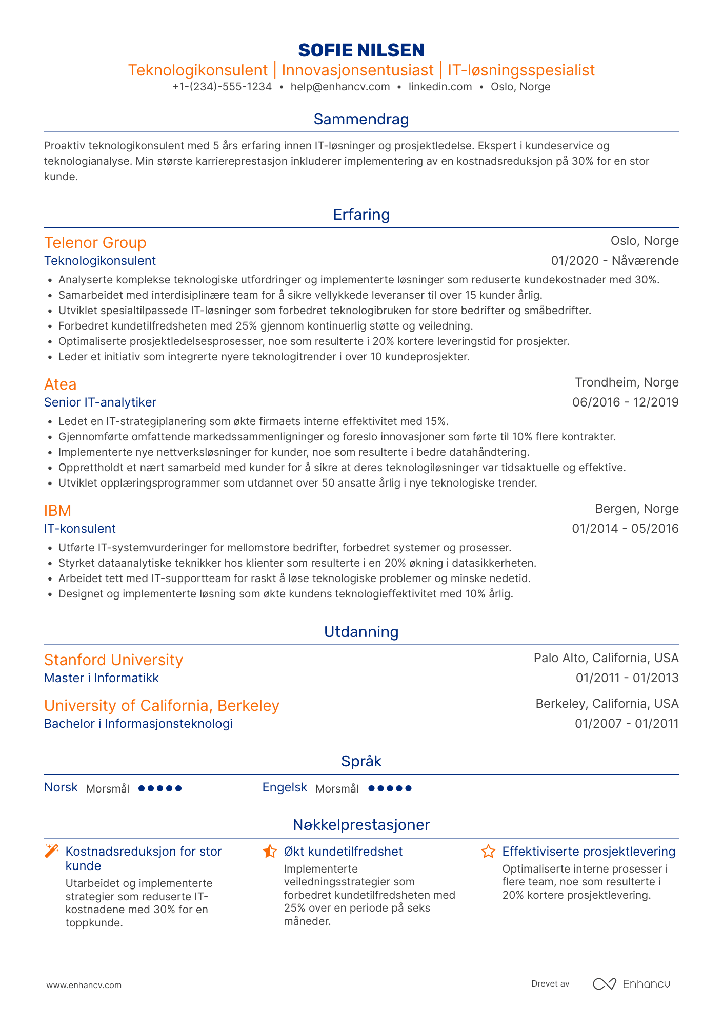 CV for Teknologikonsulent