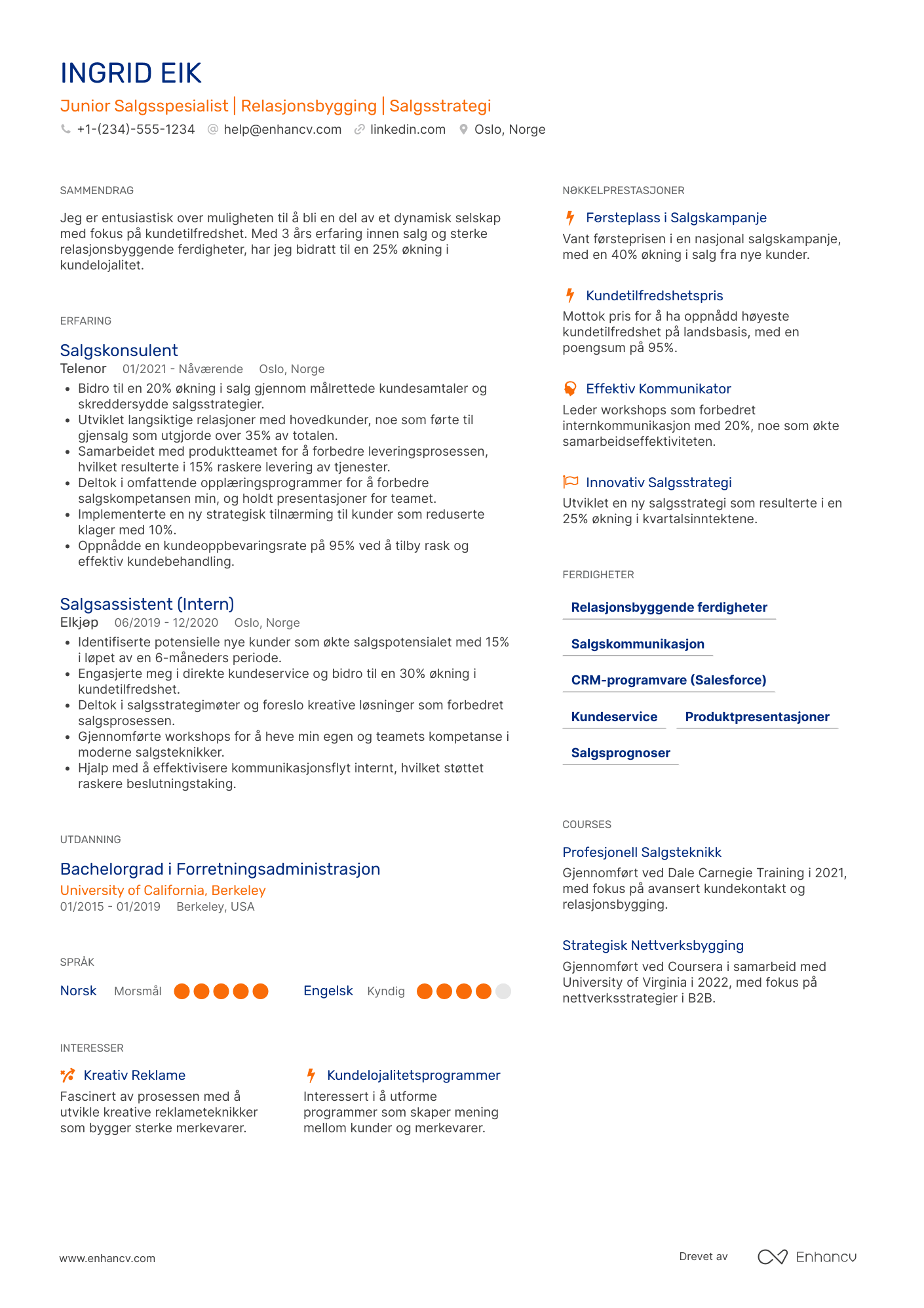 CV for Junior Salgsspesialist