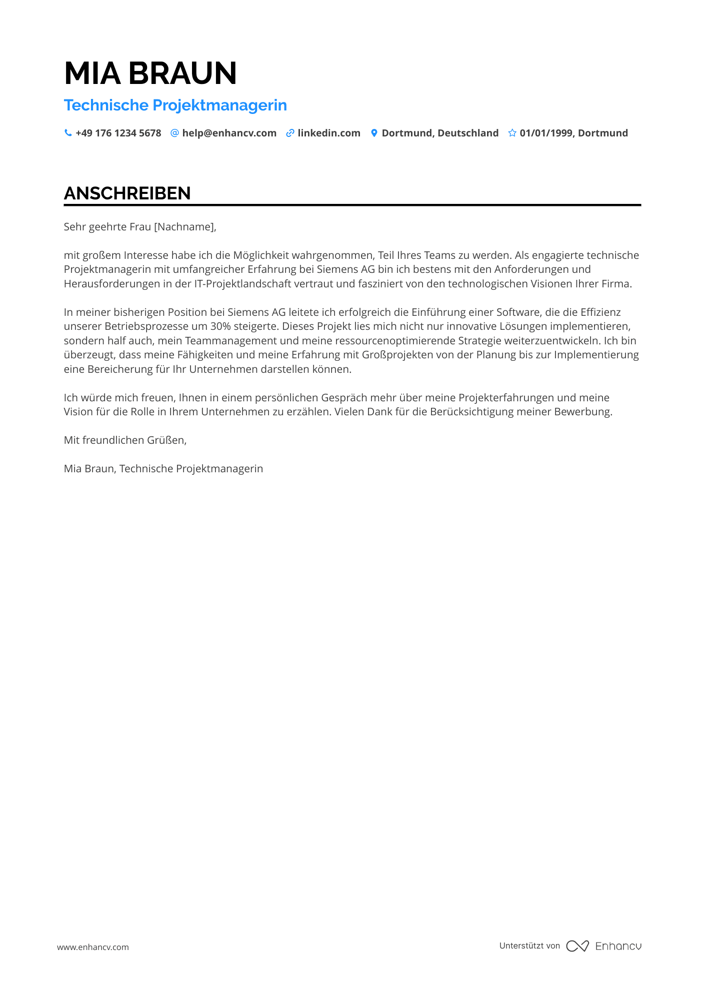 Technischer Projektmanager
