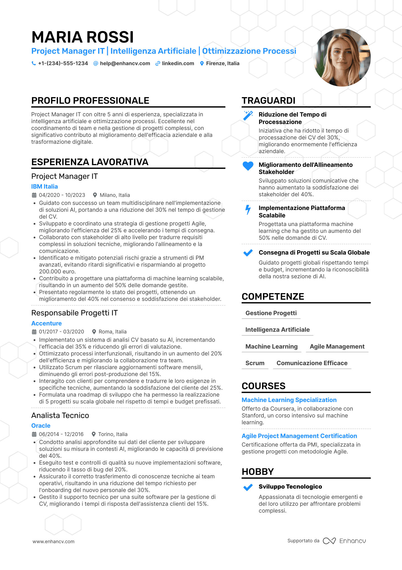 CV IT project manager