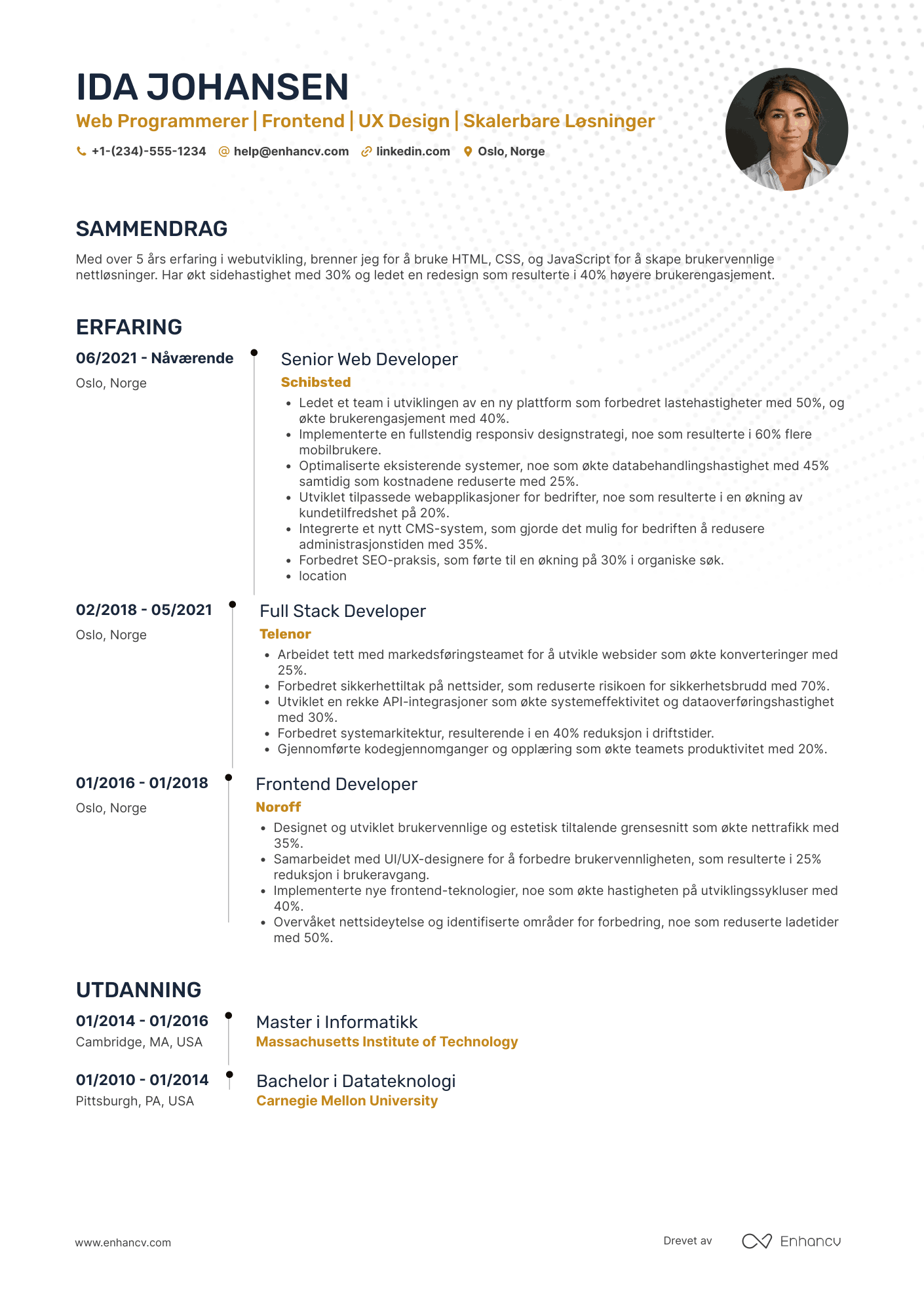 CV for Web Programmerer