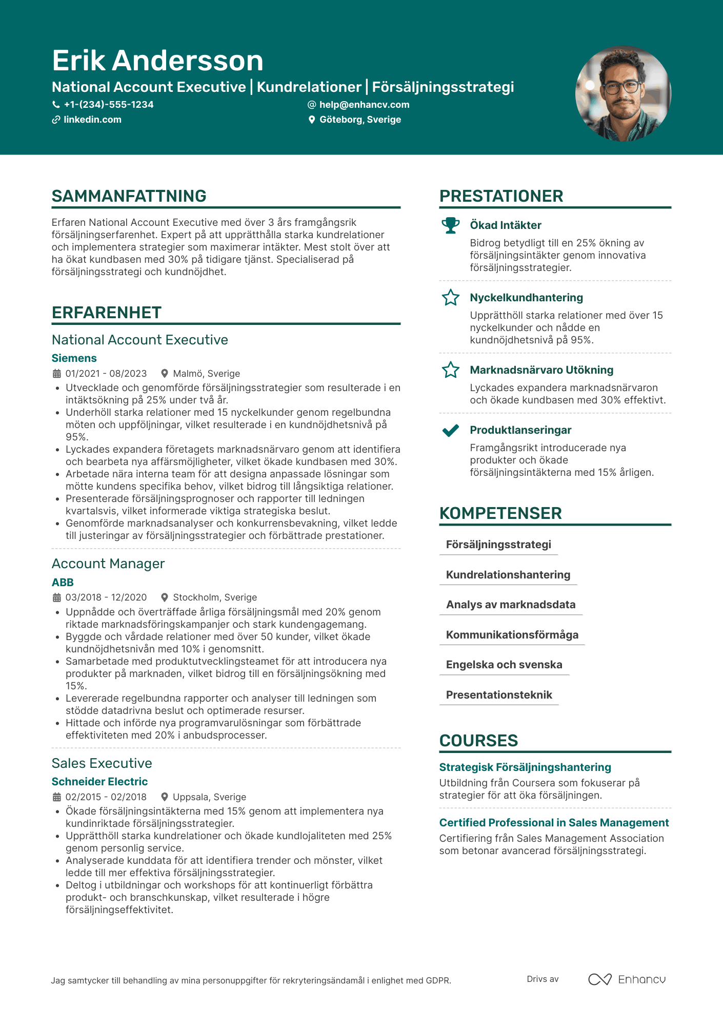 CV för National Account Executive