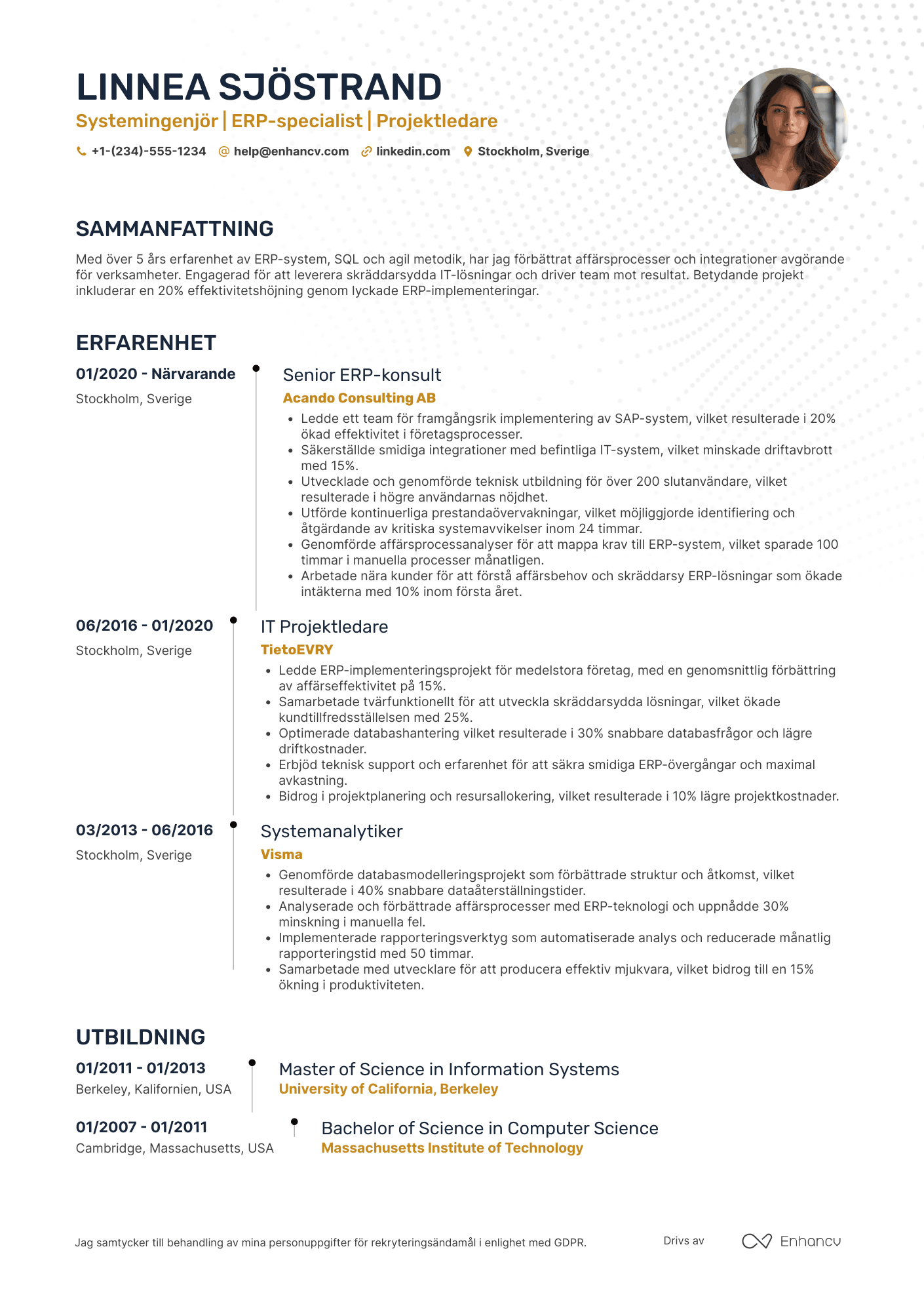 CV för Systemingenjör för ERP system