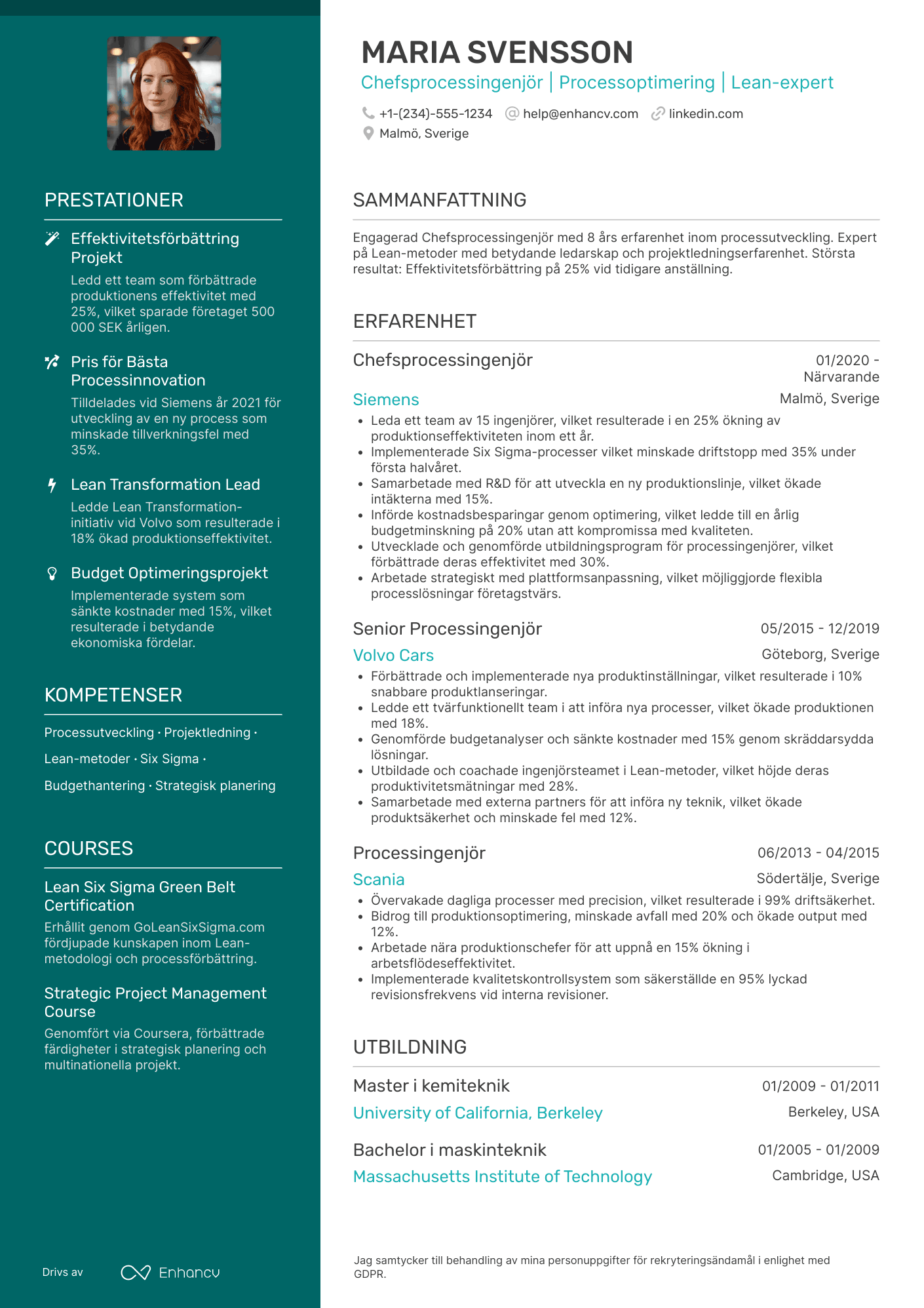 CV för Chefsprocessingenjör