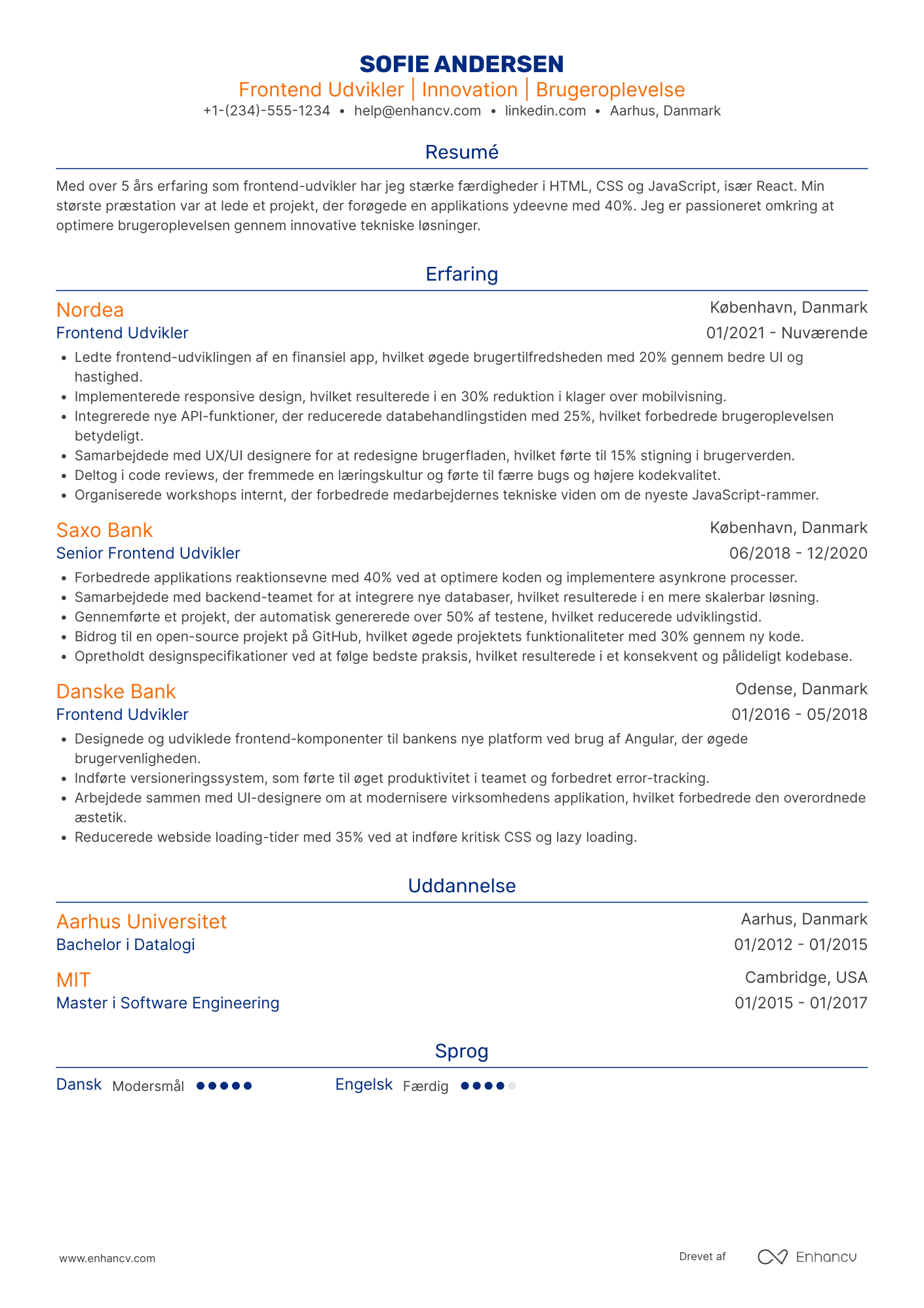 CV til Frontend udvikler i fintech