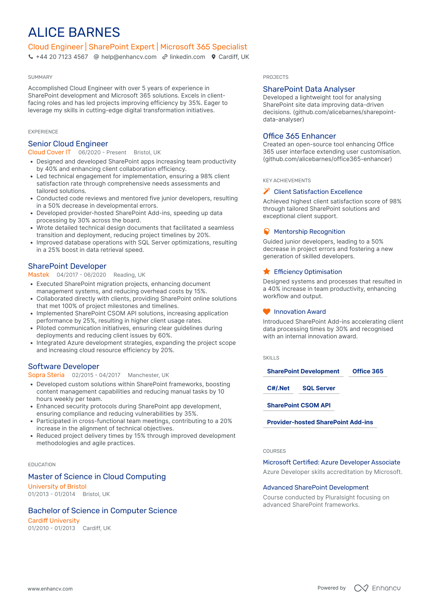 .Net Developer in Manufacturing CV Examples