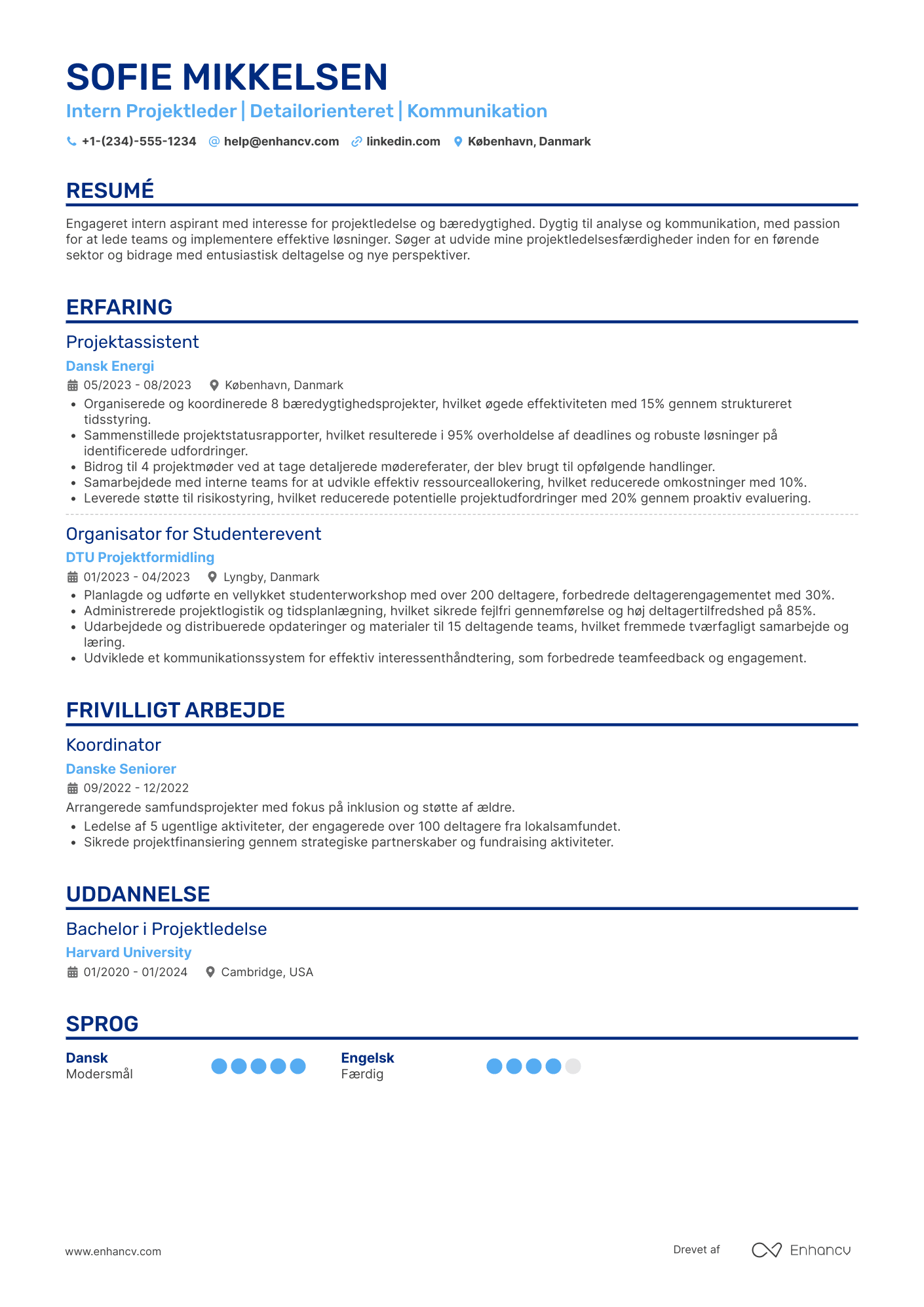 CV til Intern Projektleder