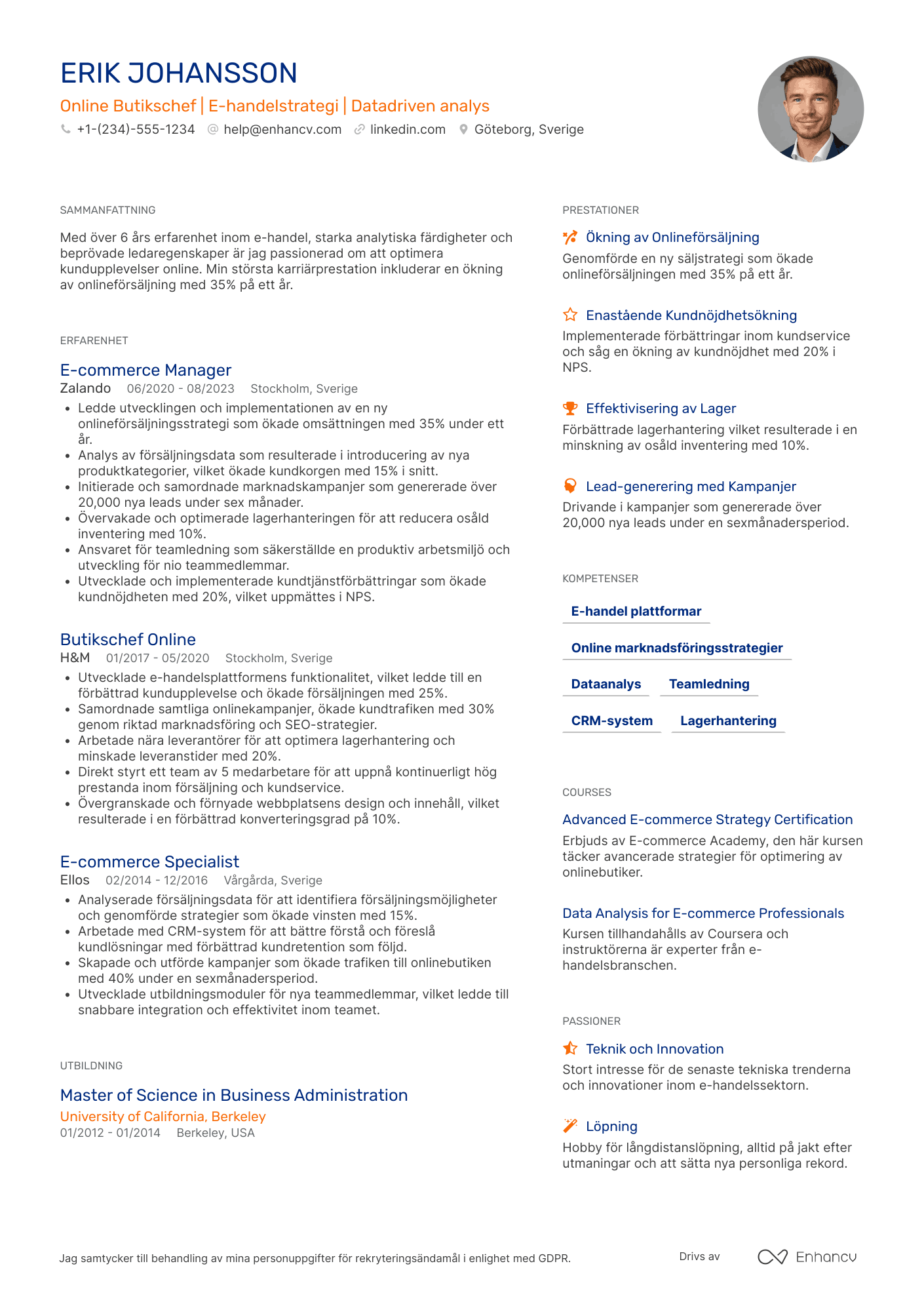 CV för Online Butikschef