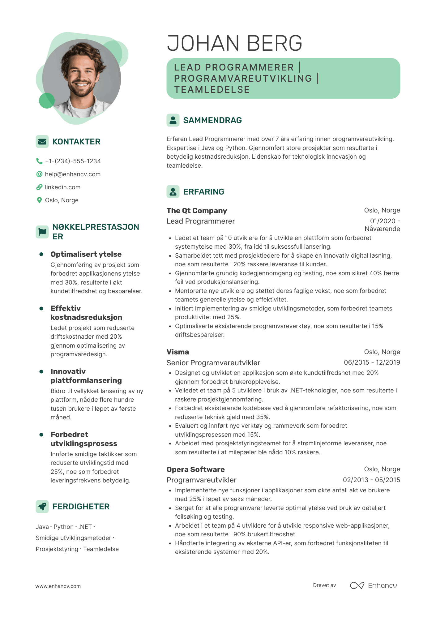 CV for Lead Programmerer
