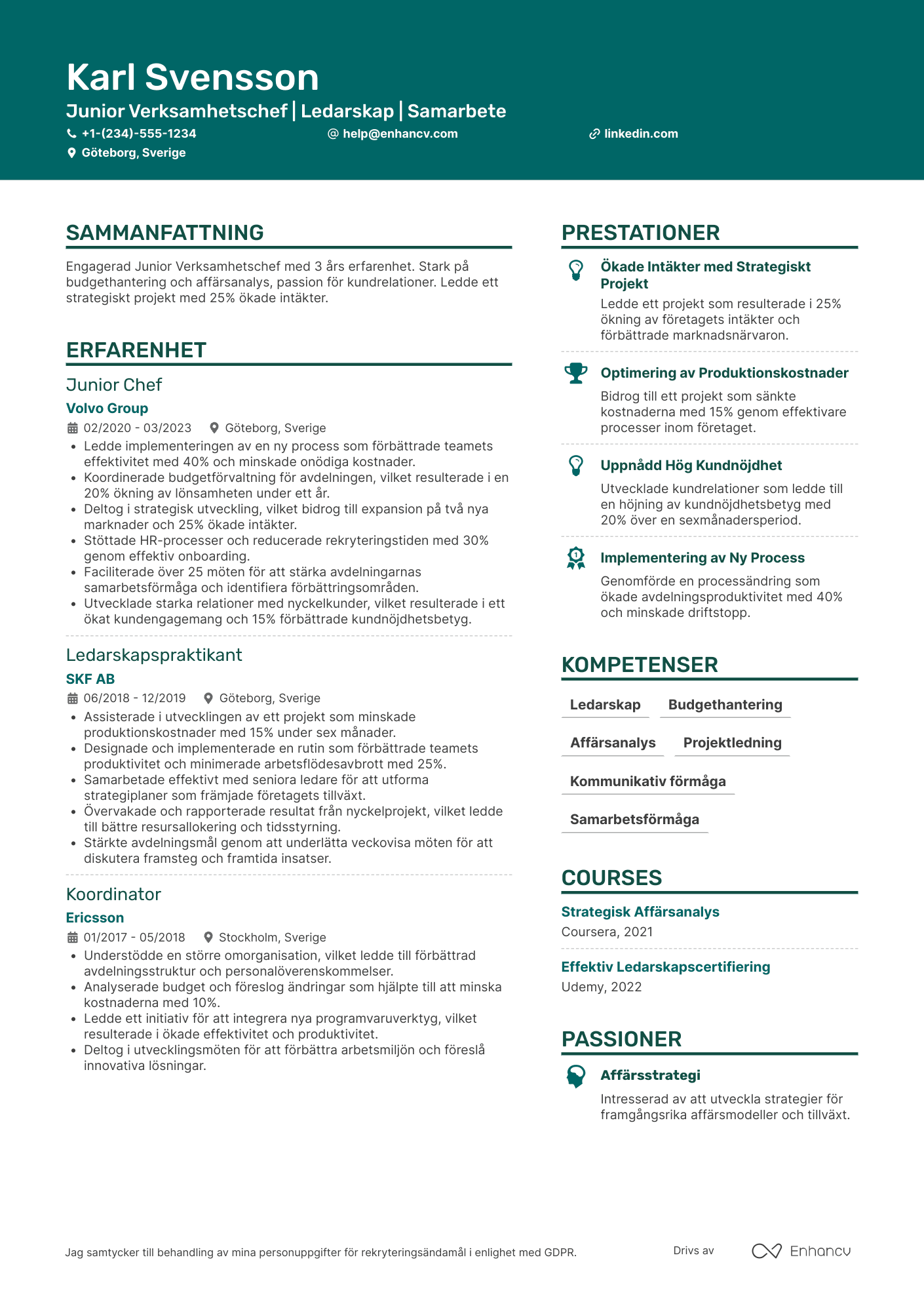CV för Junior Verksamhetschef