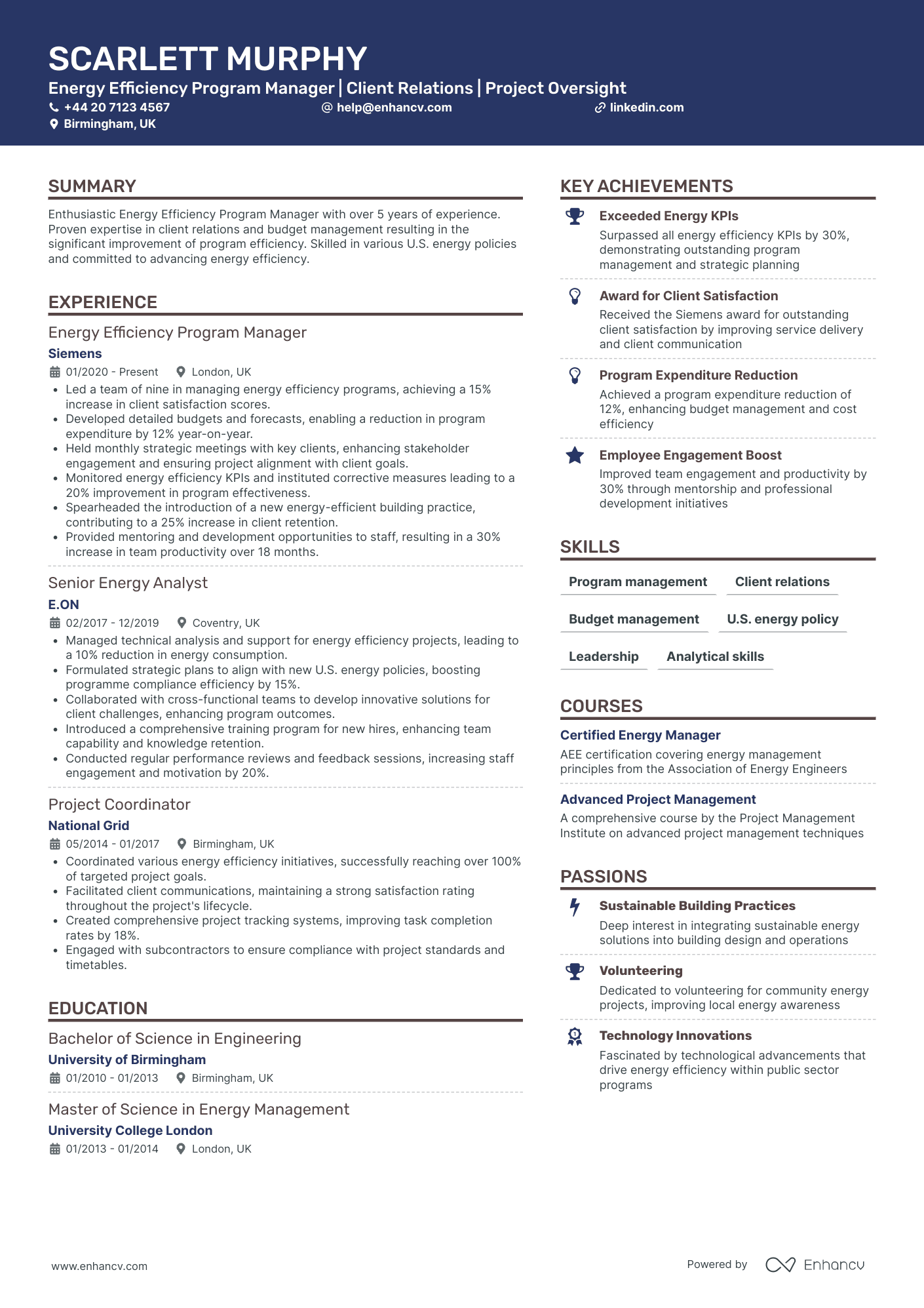 Program Manager in Energy Sector