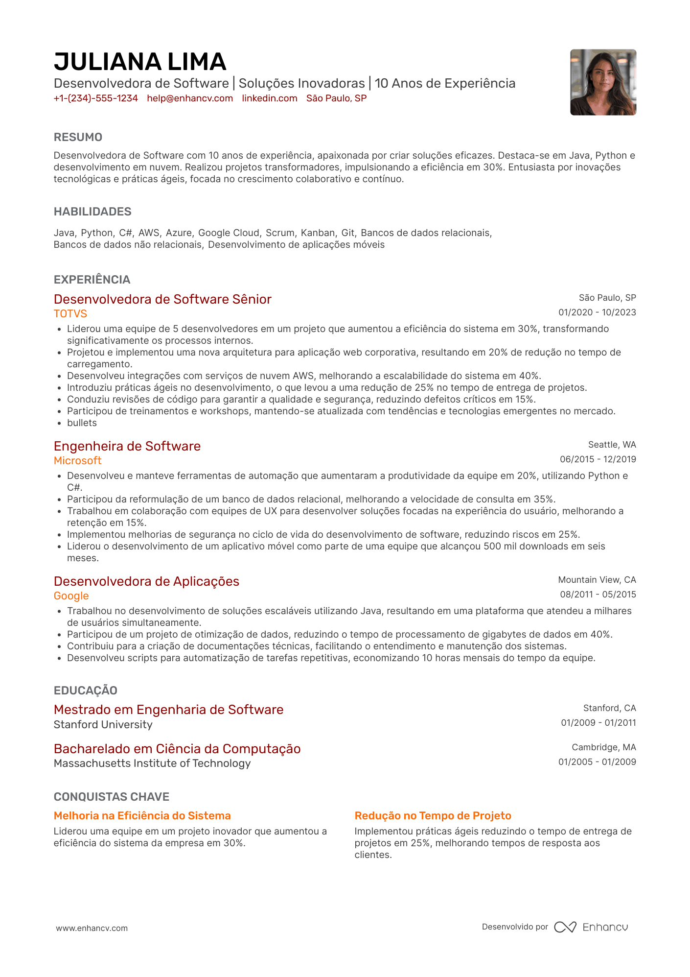 Currículo desenvolvedor de software