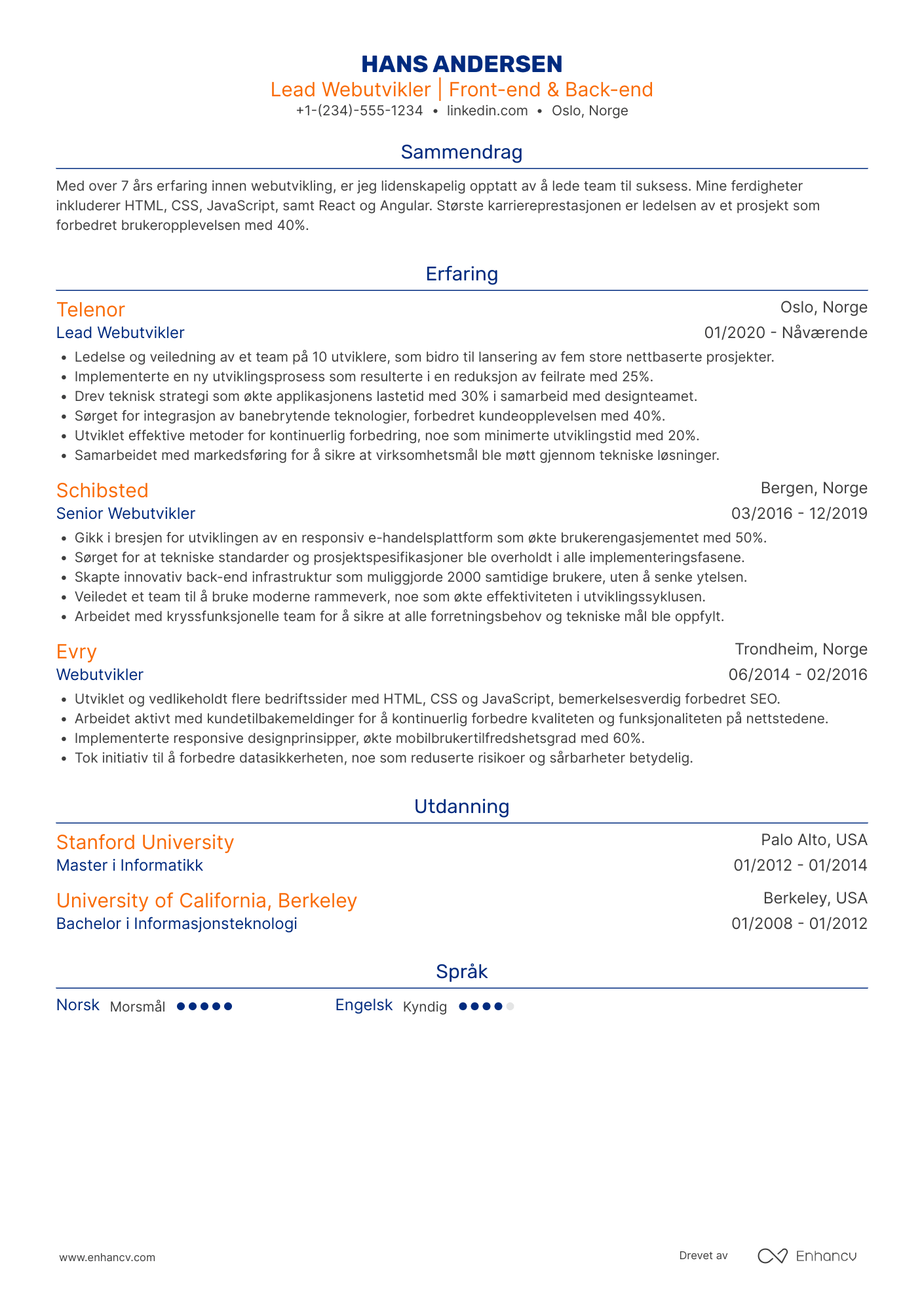 CV for Lead Webutvikler